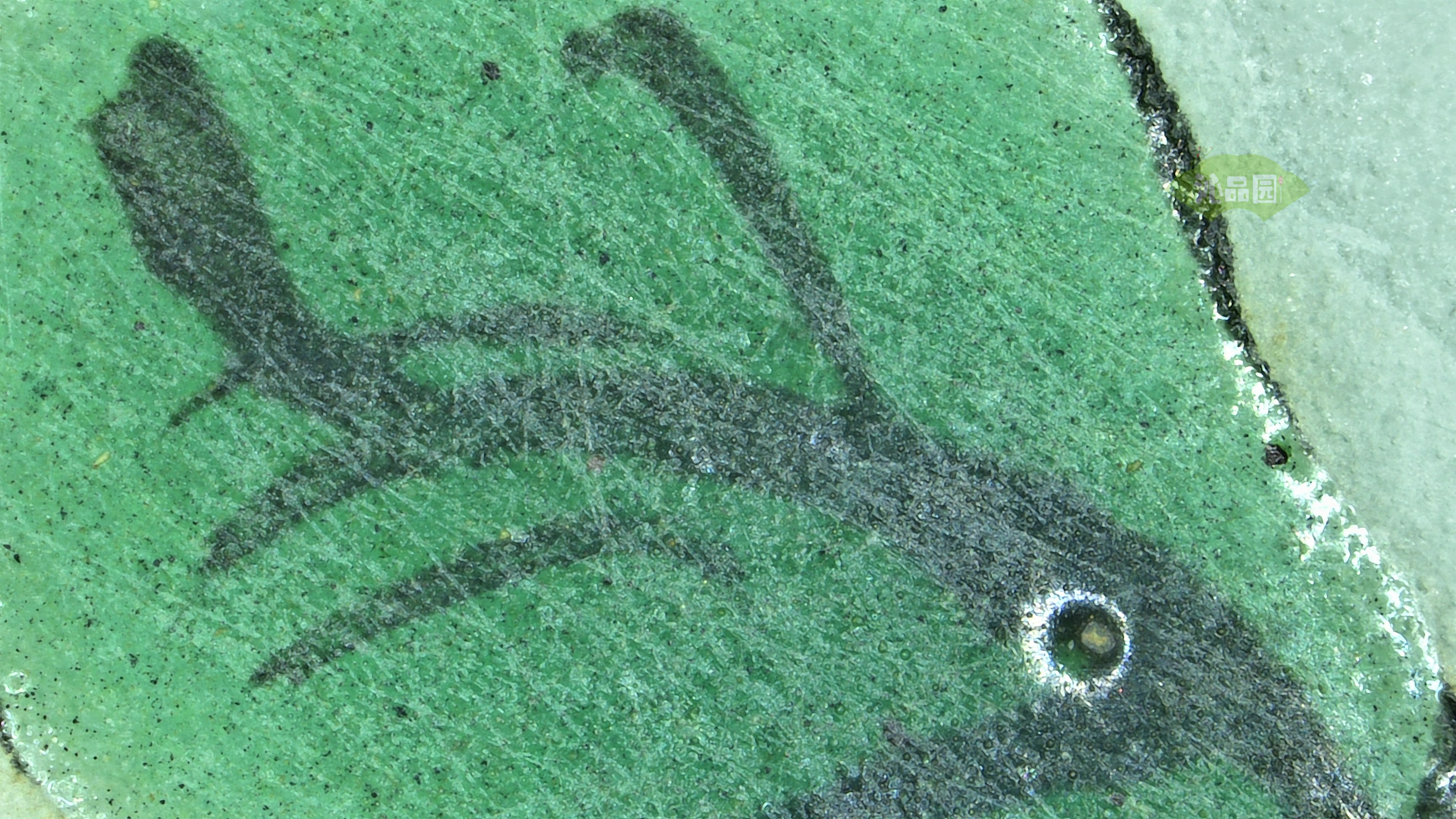 1240.jpg