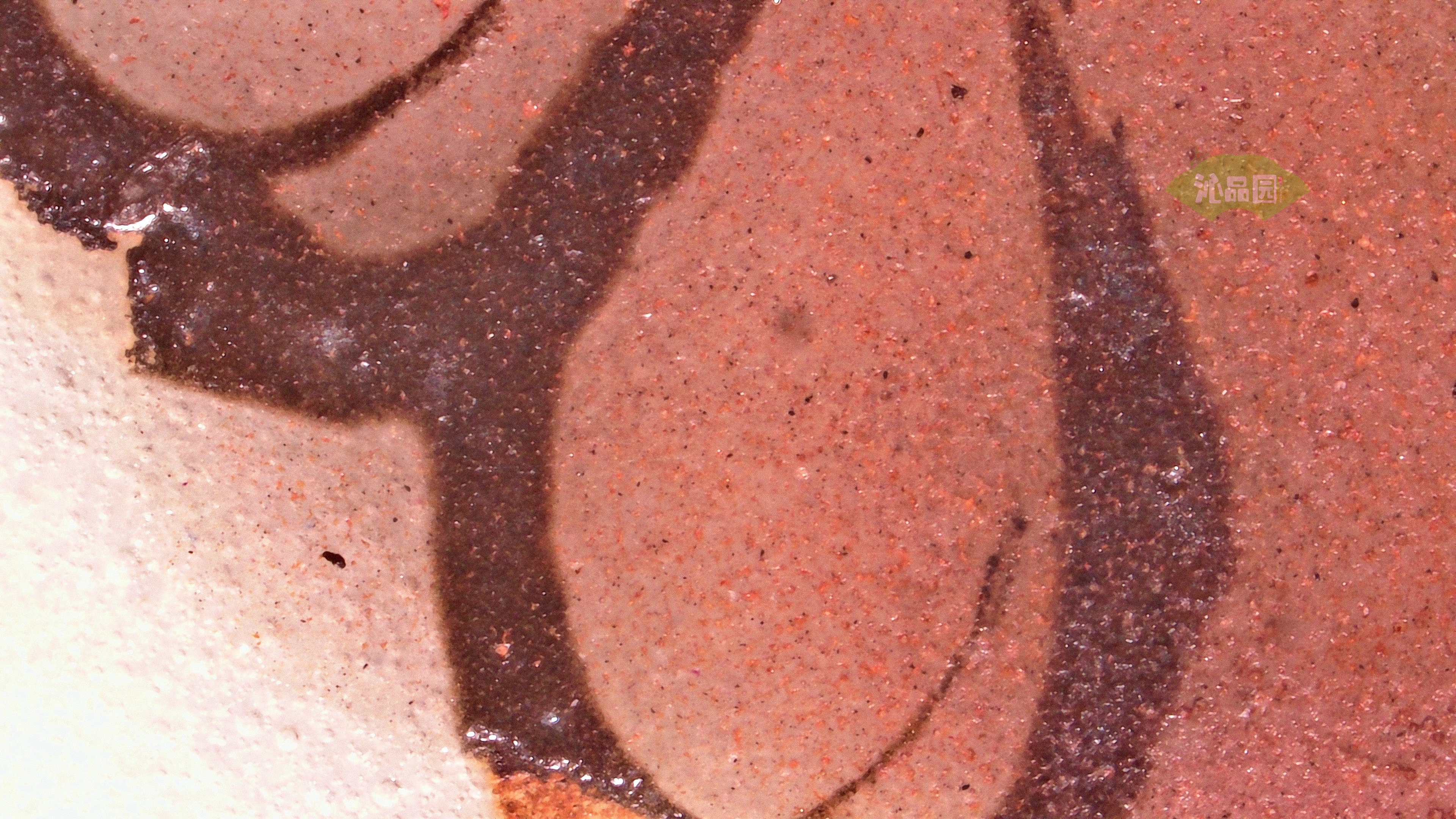 1253.jpg