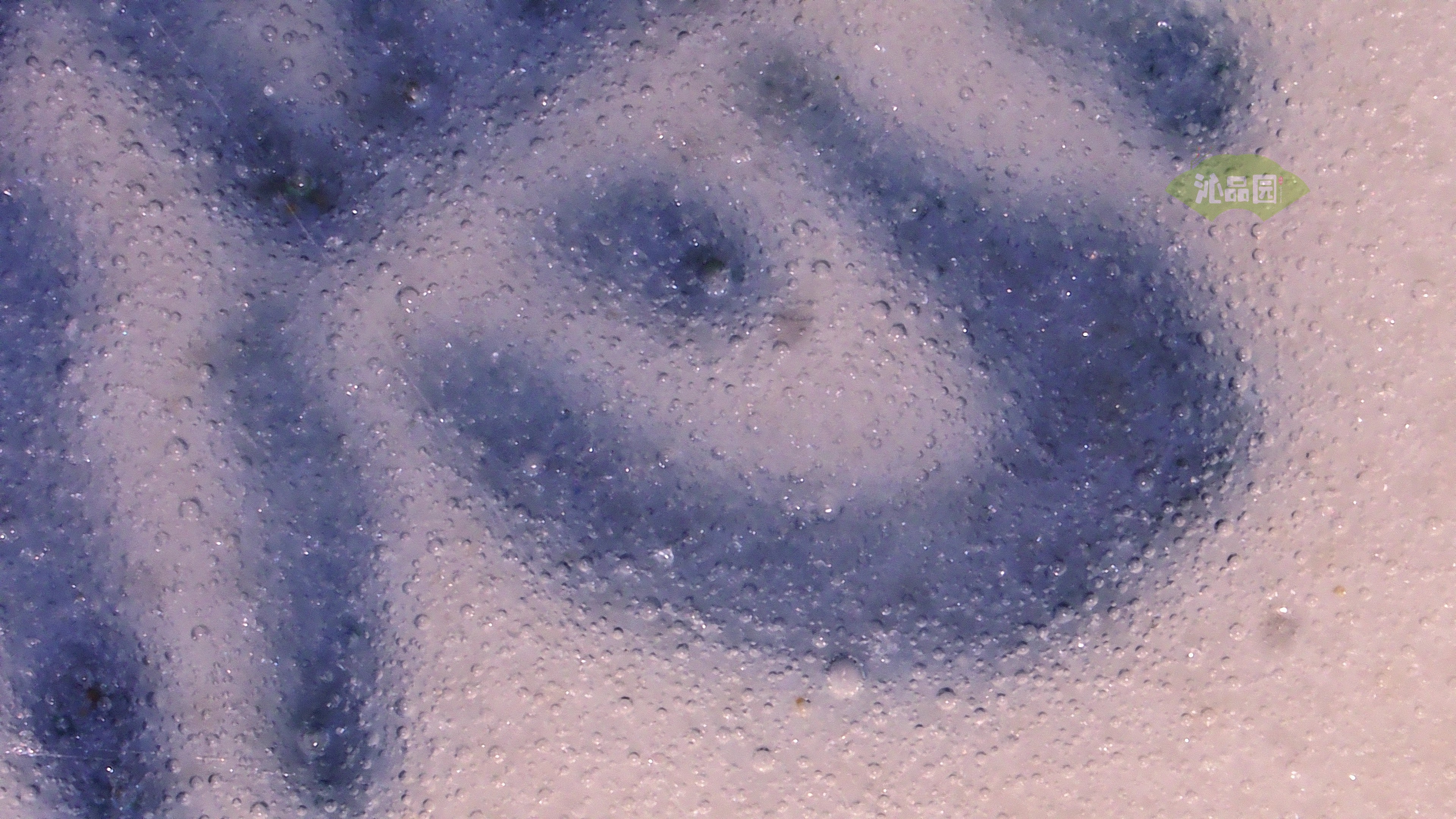 1259.jpg