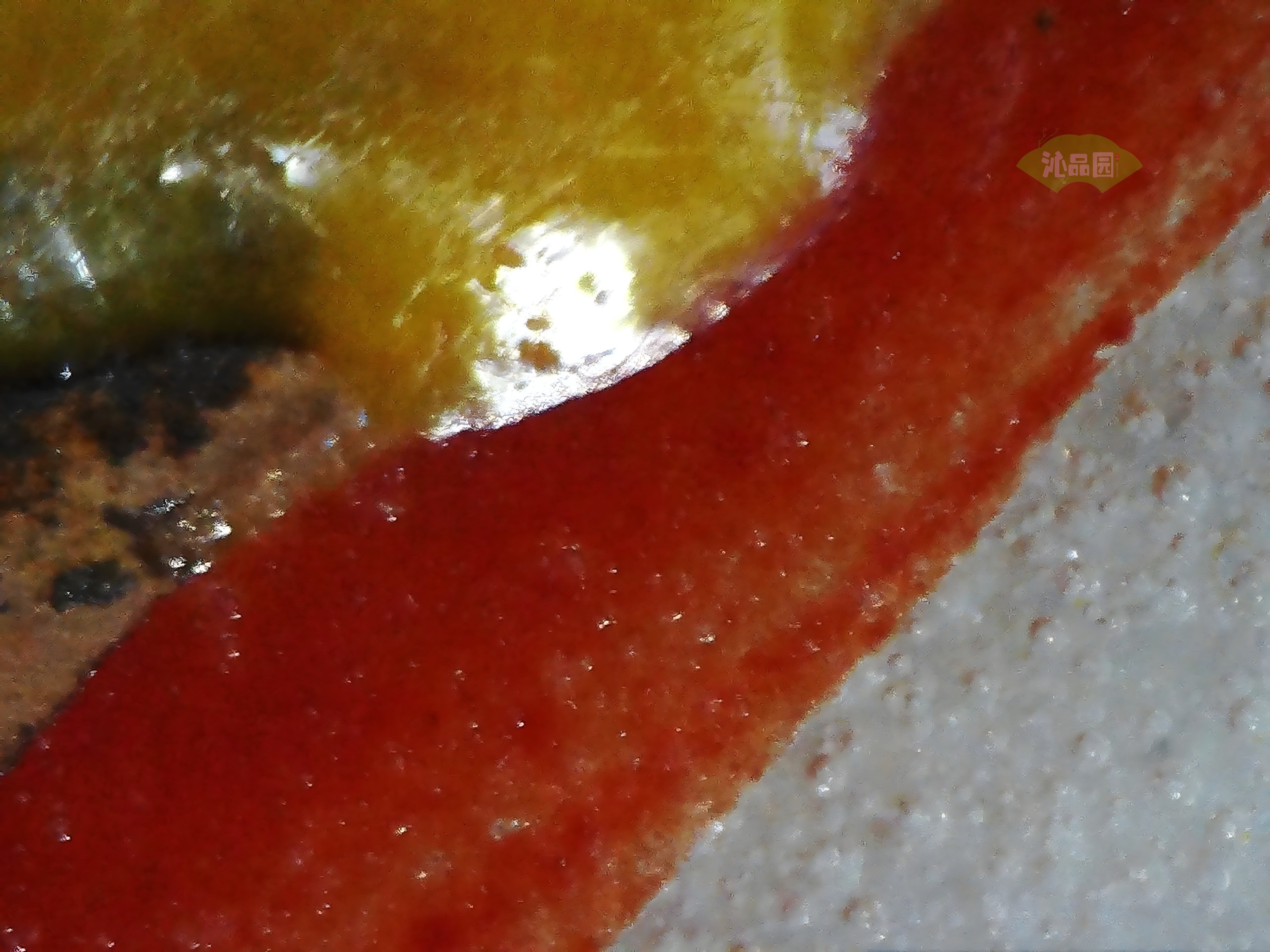 CHD00685.JPG