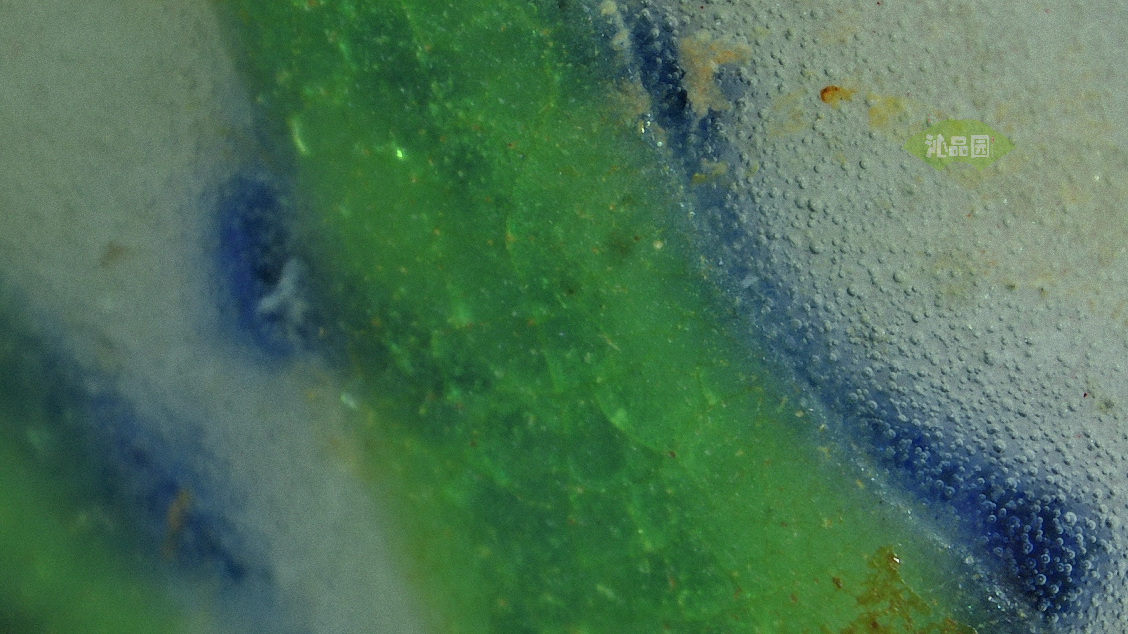 0274.jpg
