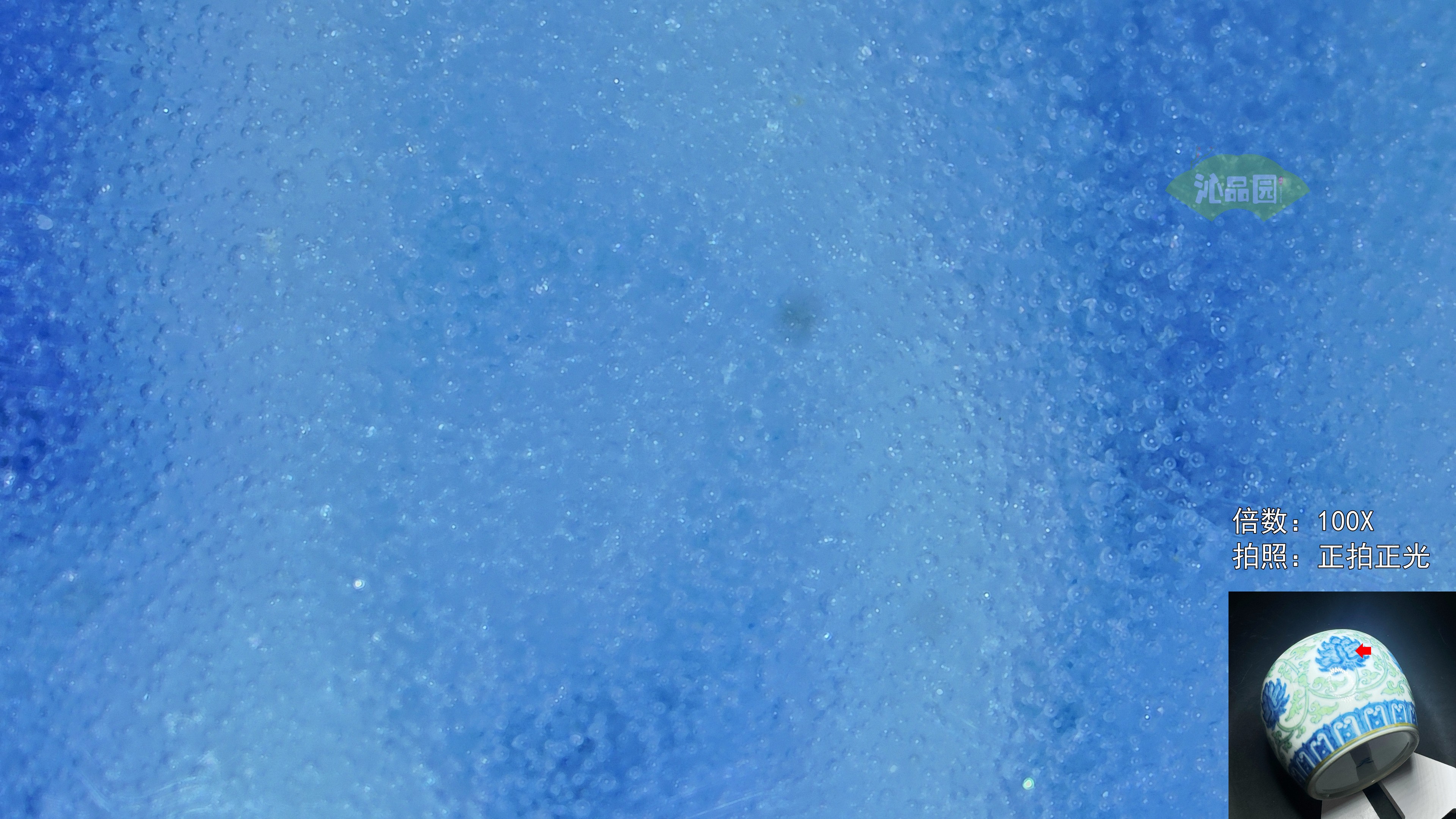 43040_01.jpg