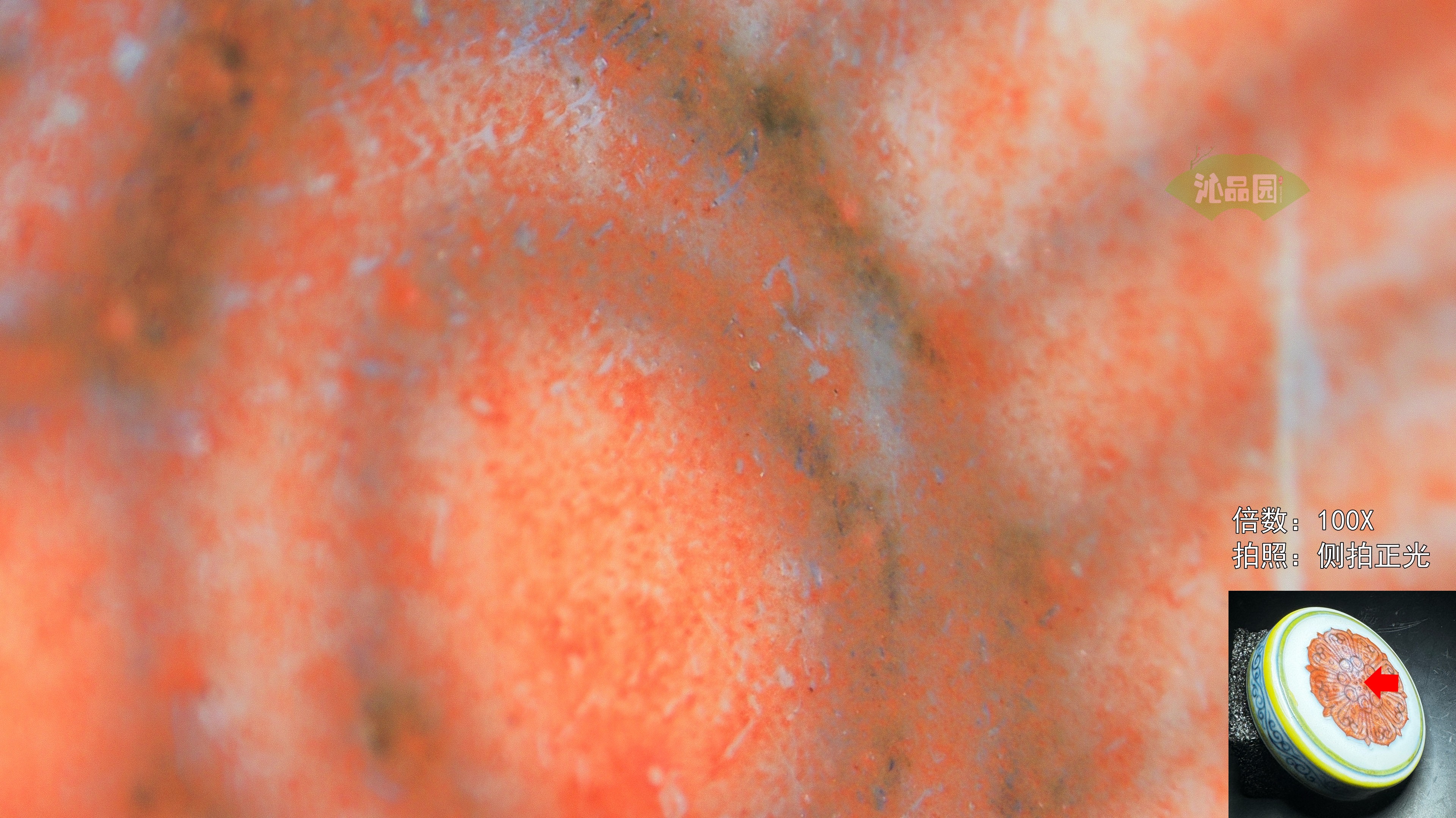 43040_05.jpg