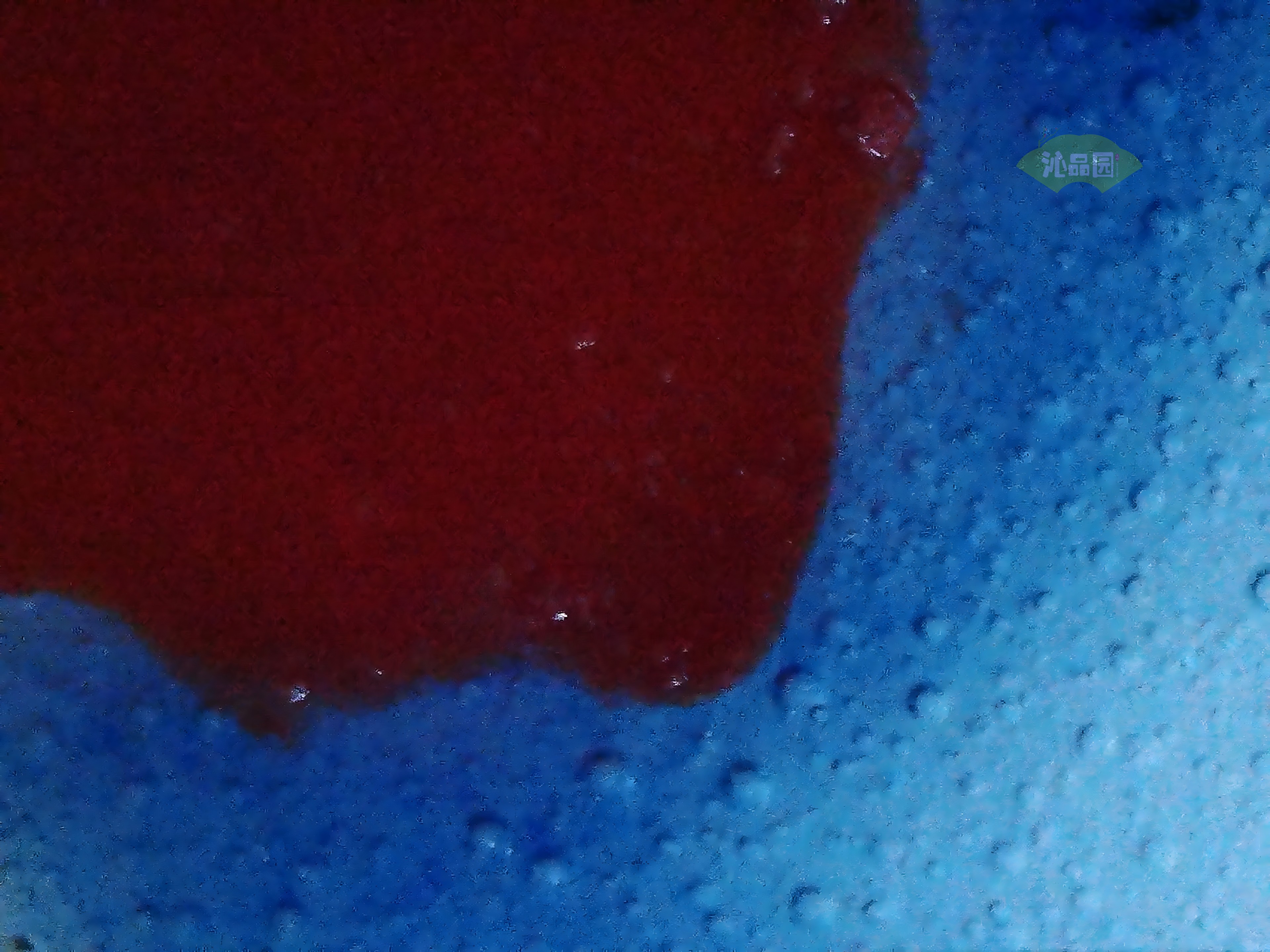 CHD00426.JPG