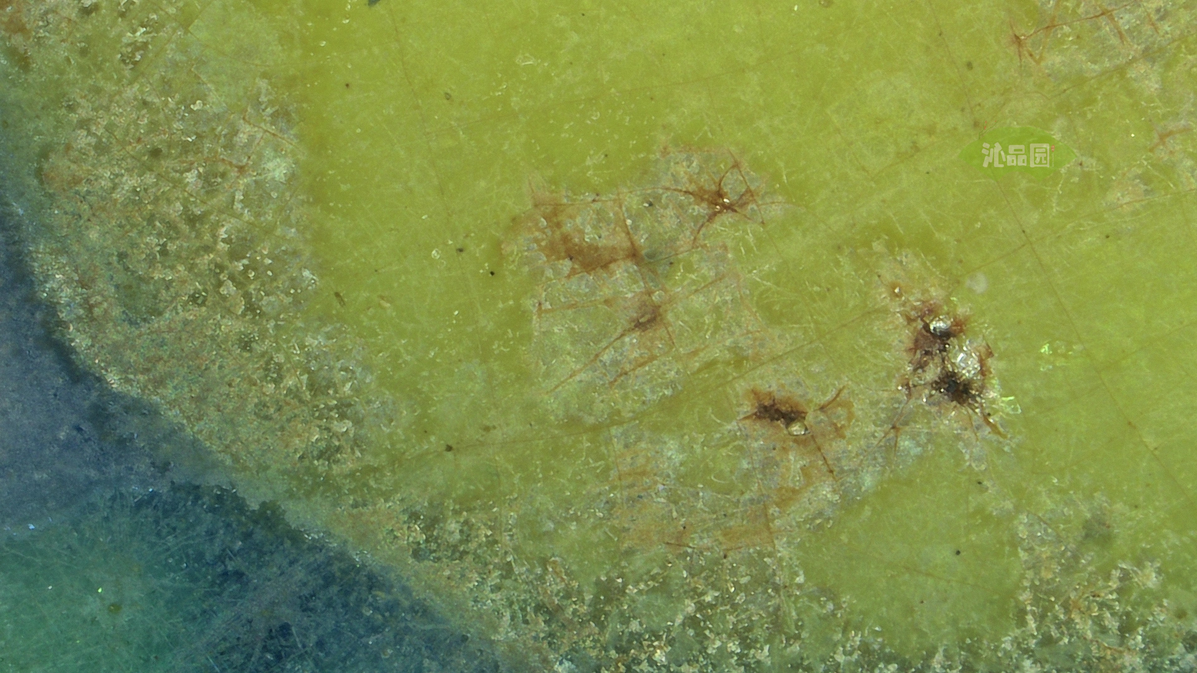 0463.jpg