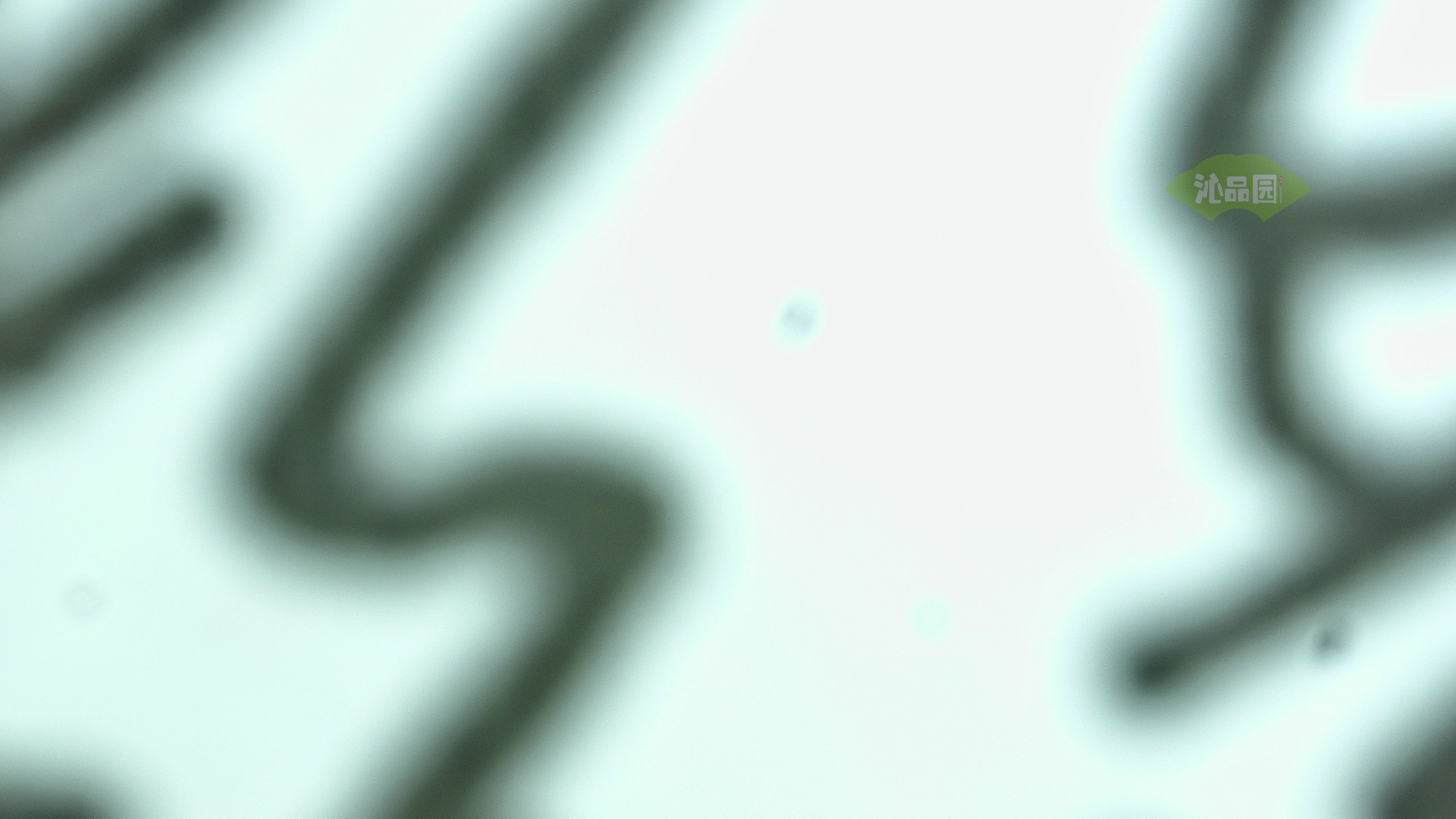 0502.jpg