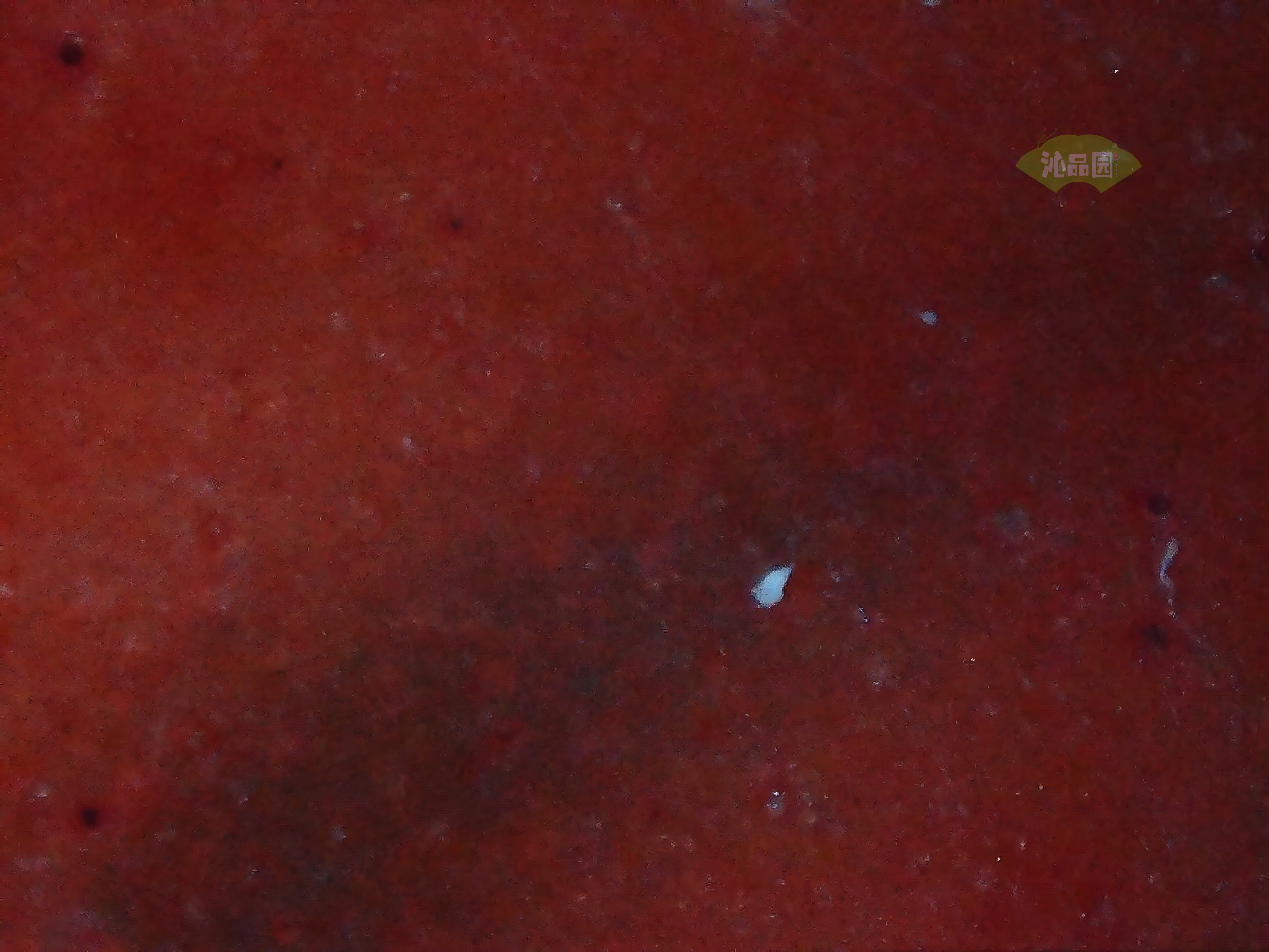 CHD00548.JPG