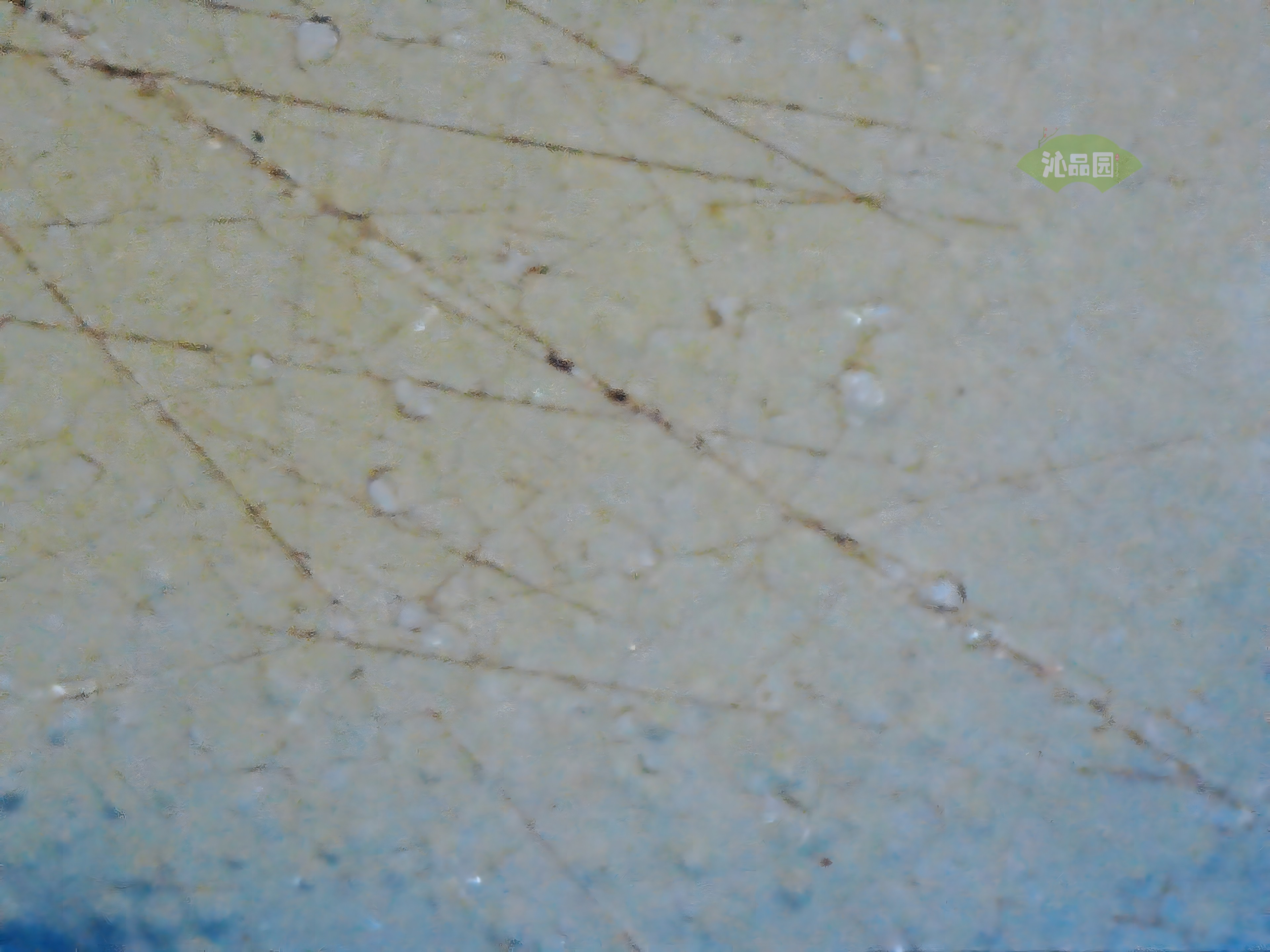 CHD00578.JPG