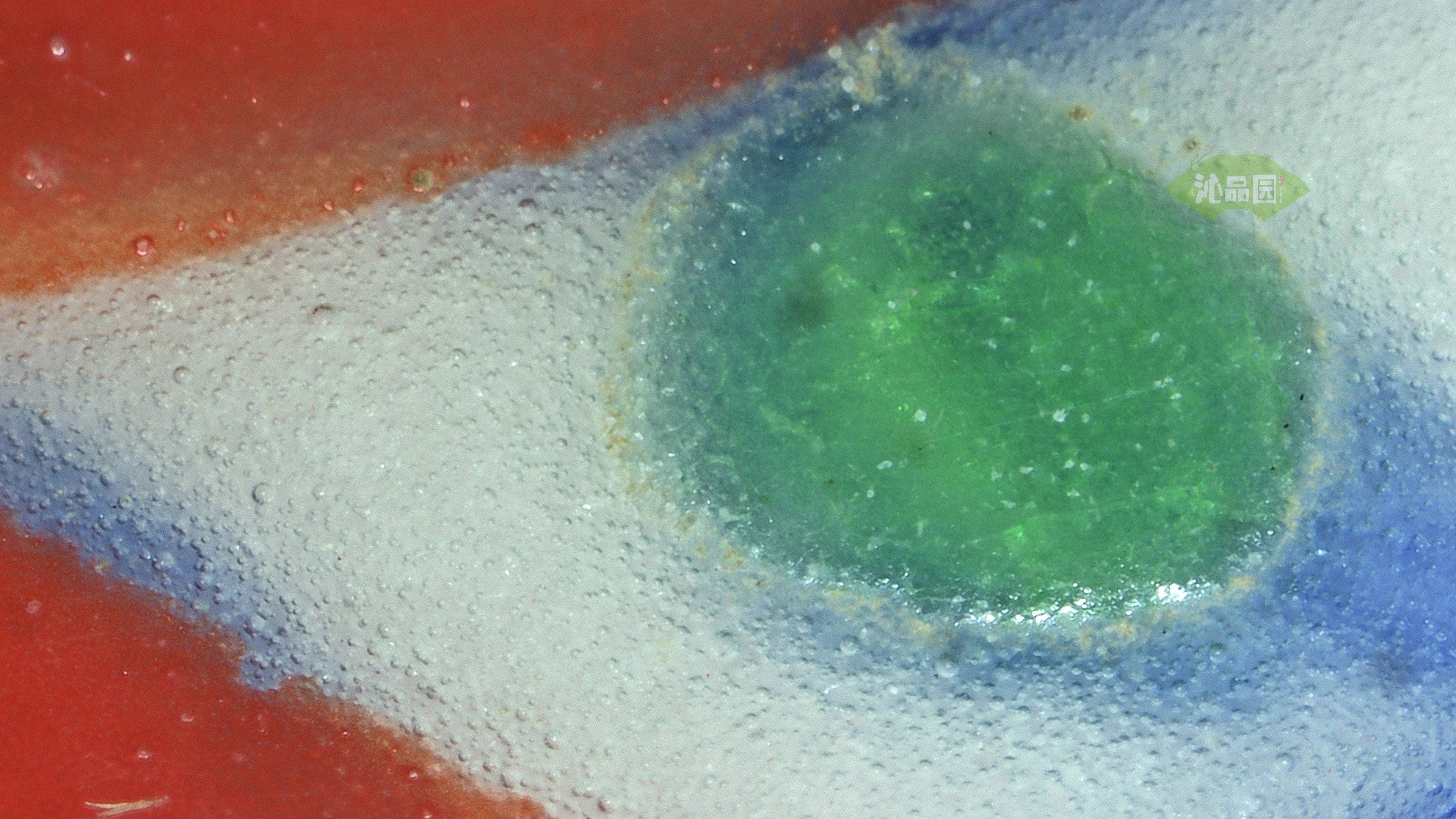 0867.jpg