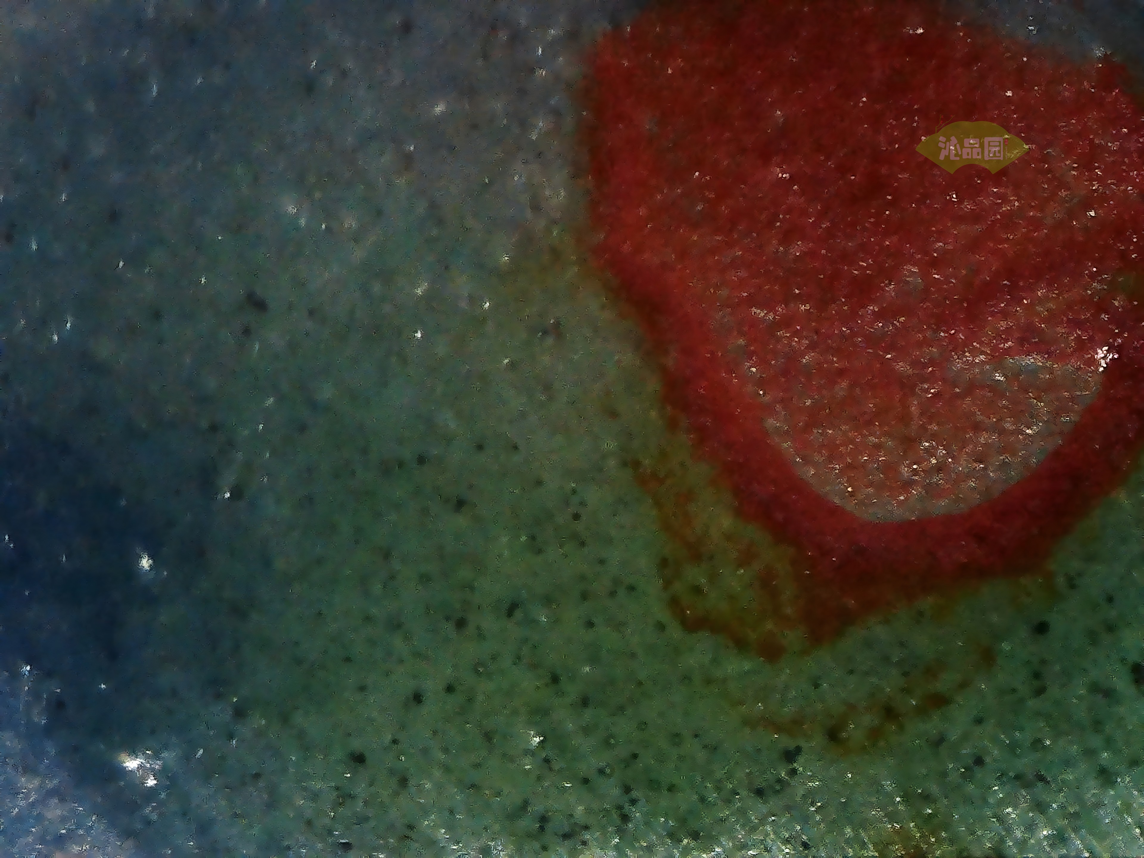 CHD00850.JPG