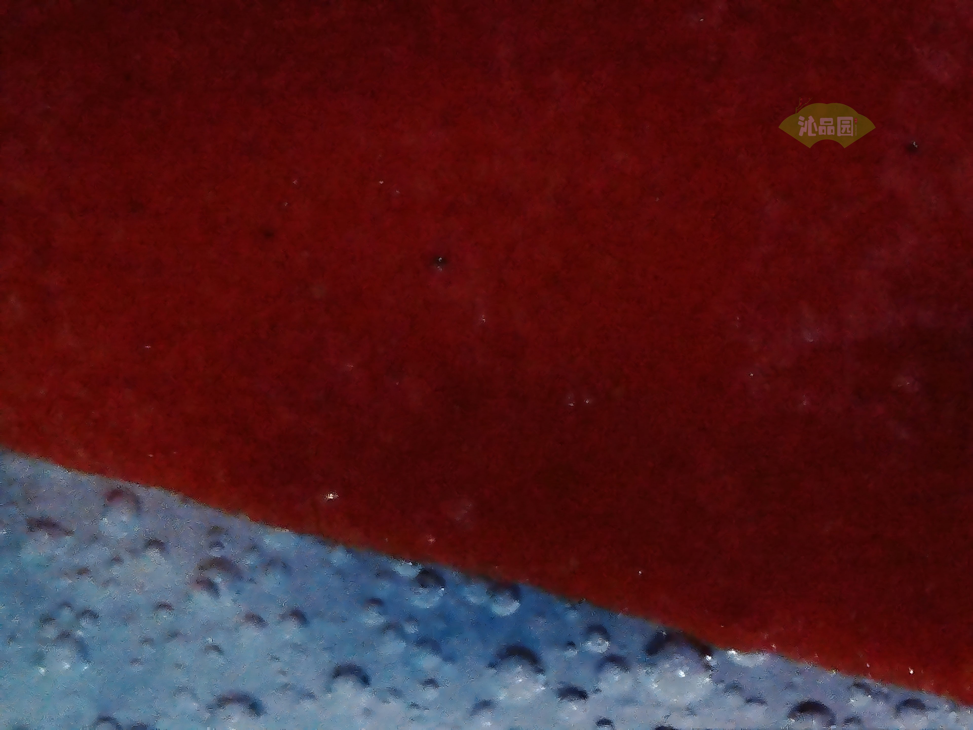 CHD00854.JPG