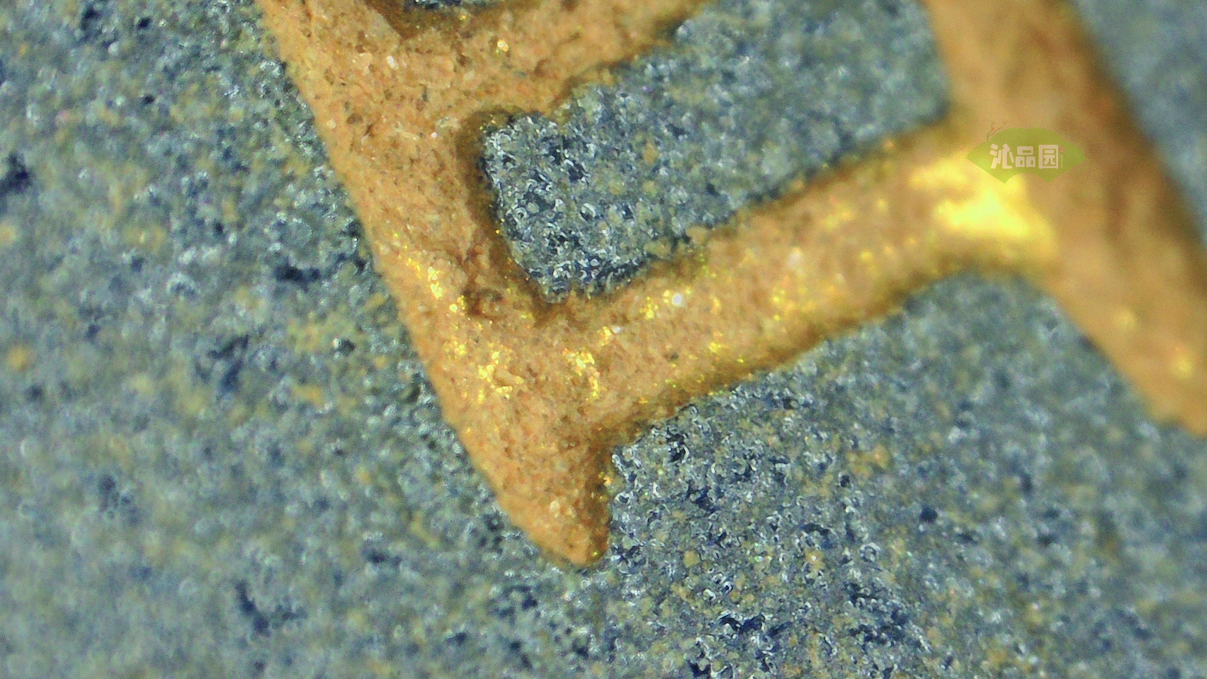 0010.jpg