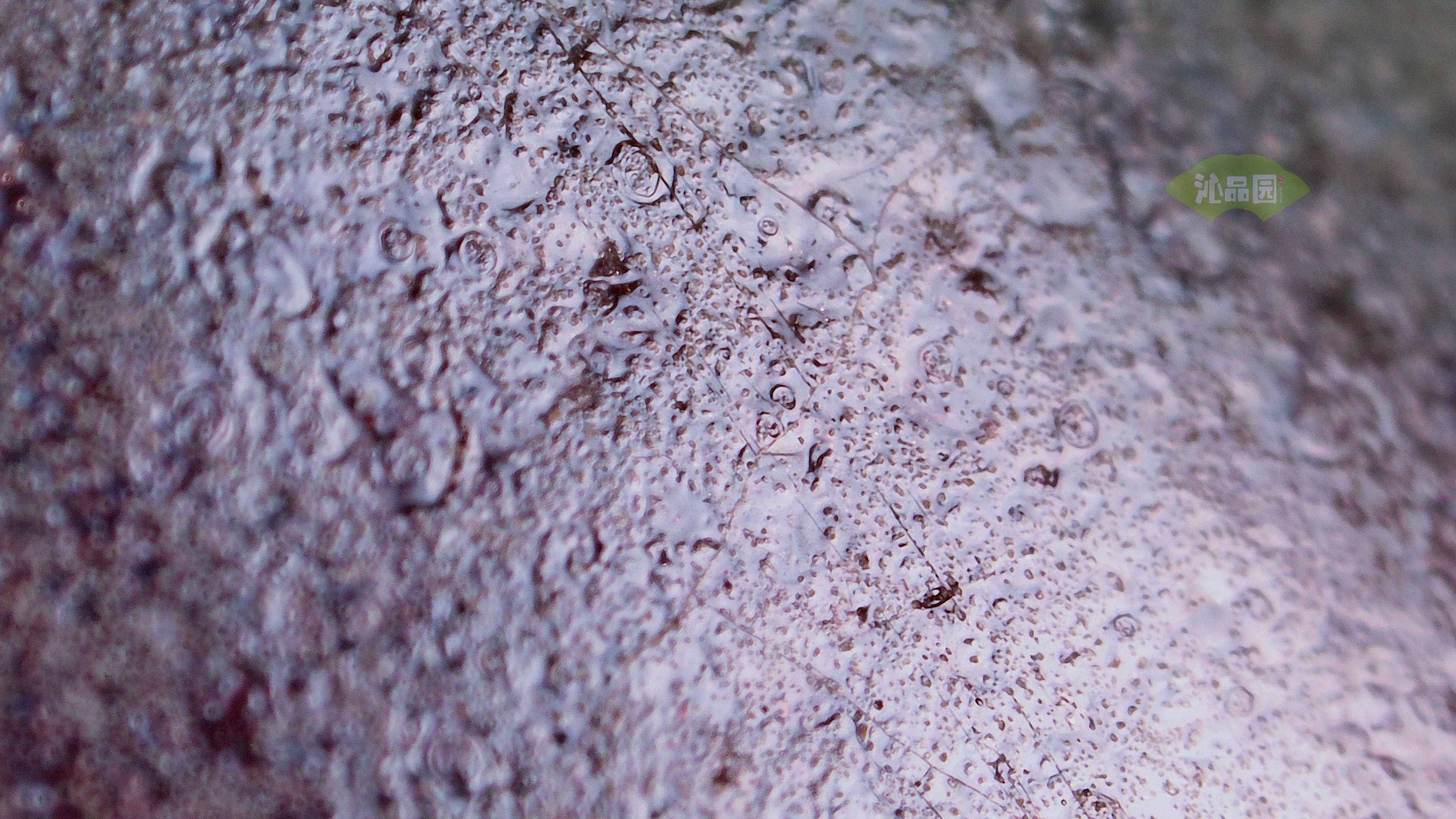 0013.jpg