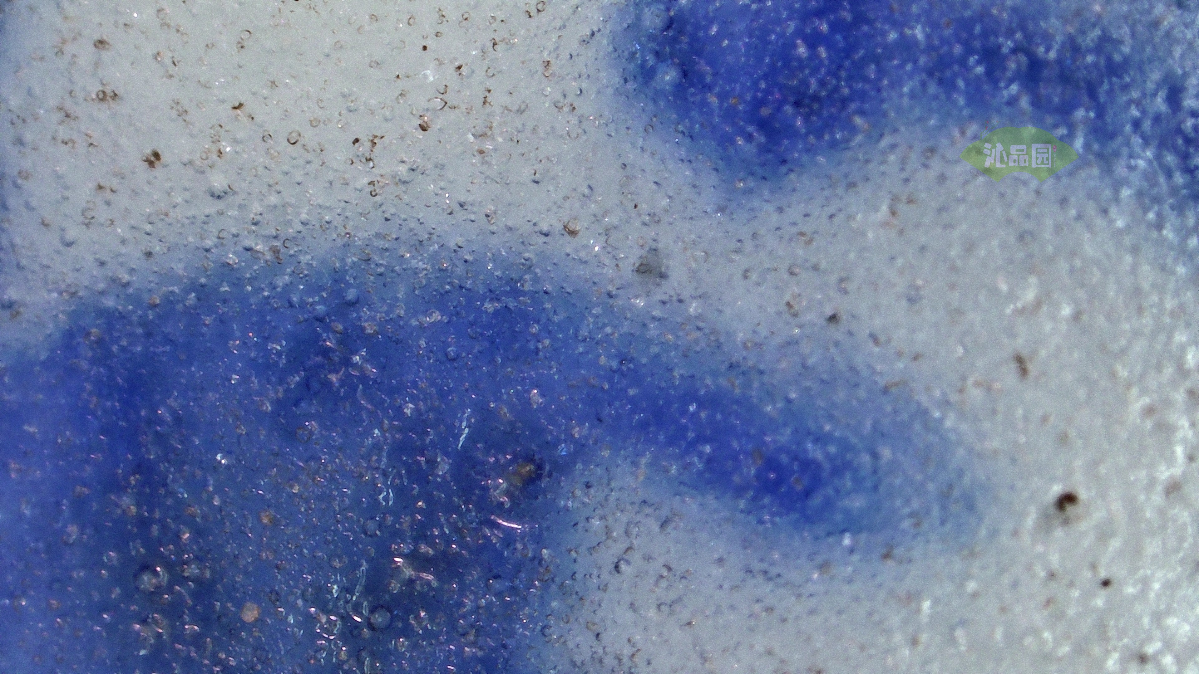 1148.jpg
