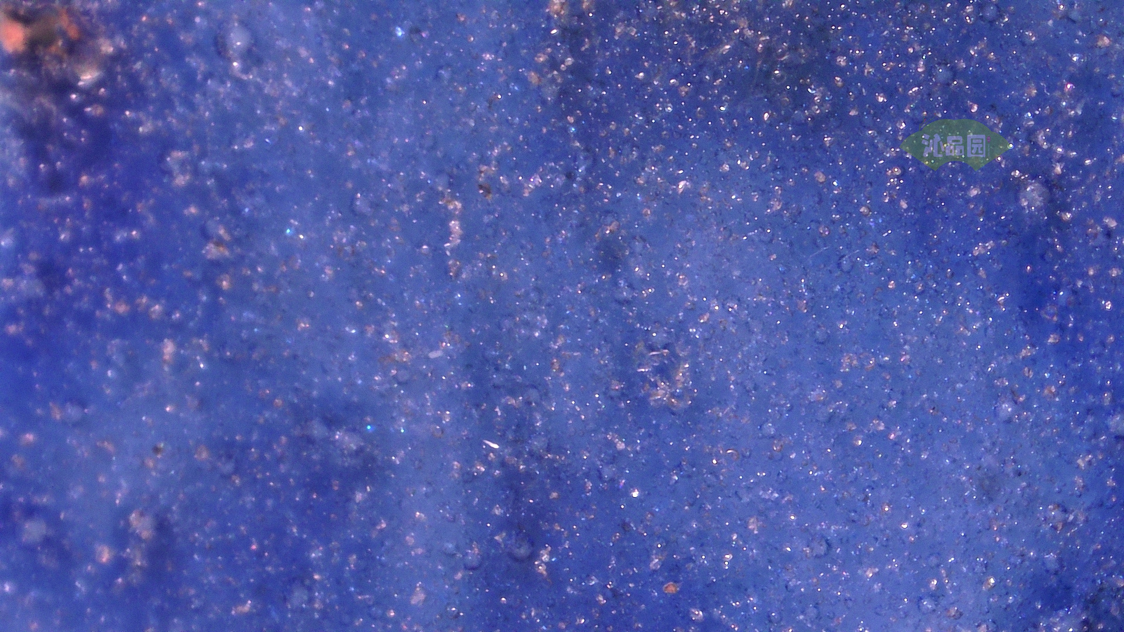 1155.jpg