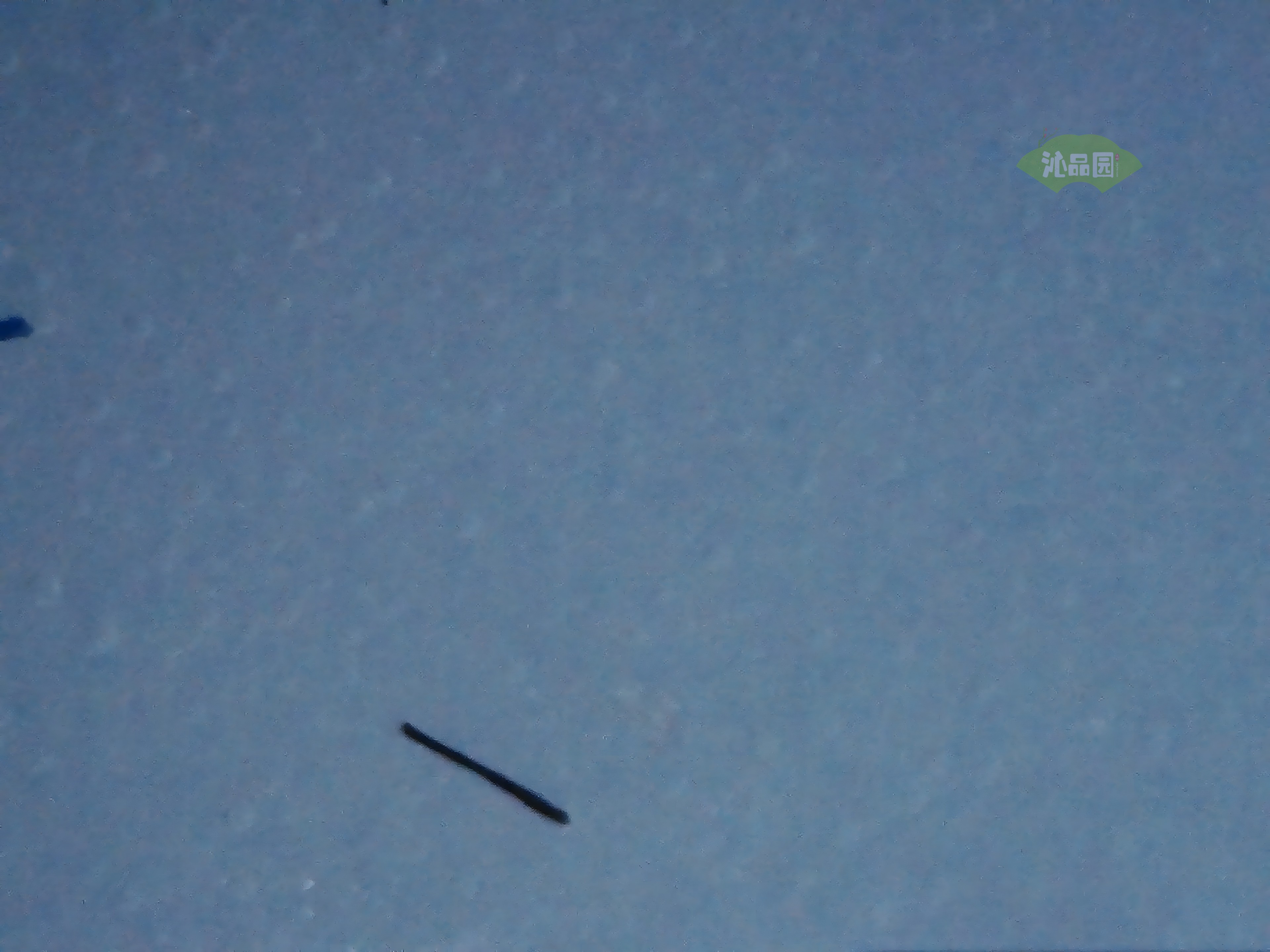 CHD00404.JPG