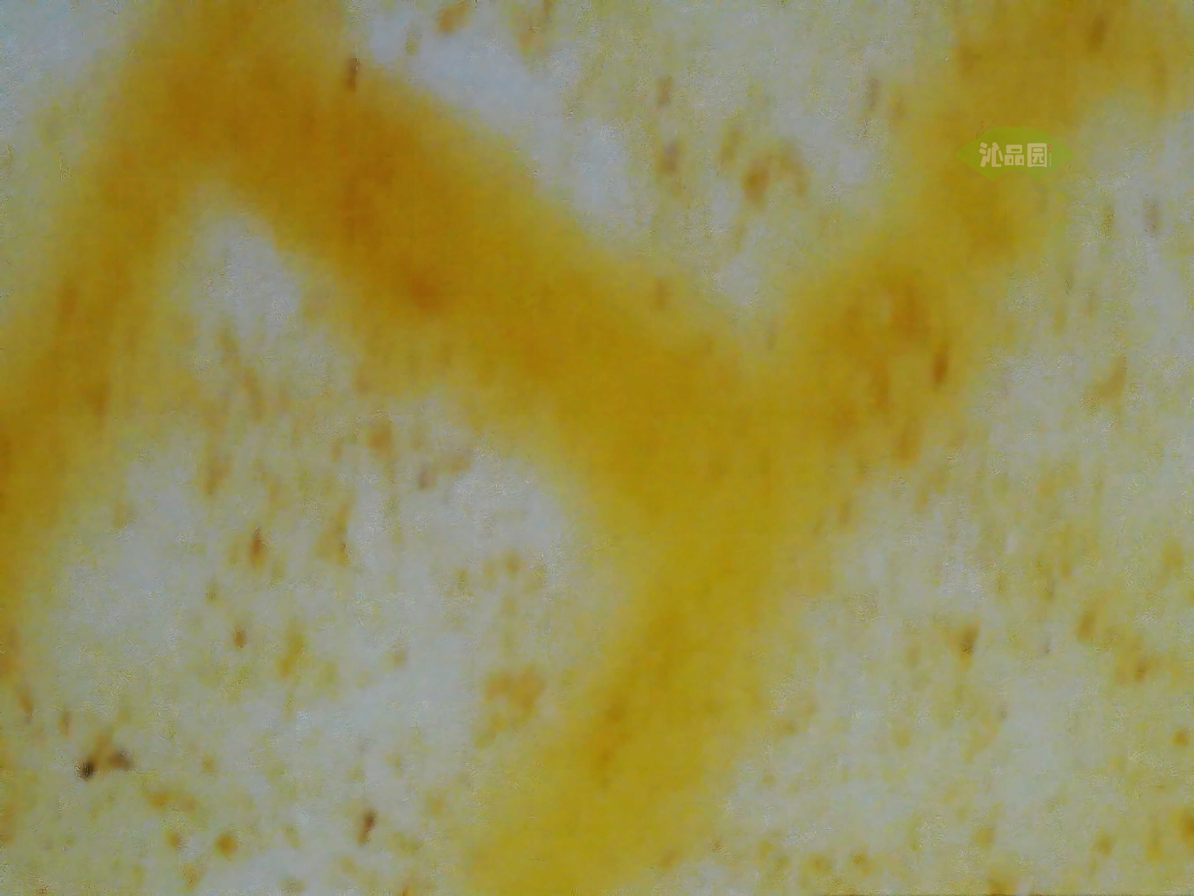 CHD00932.JPG