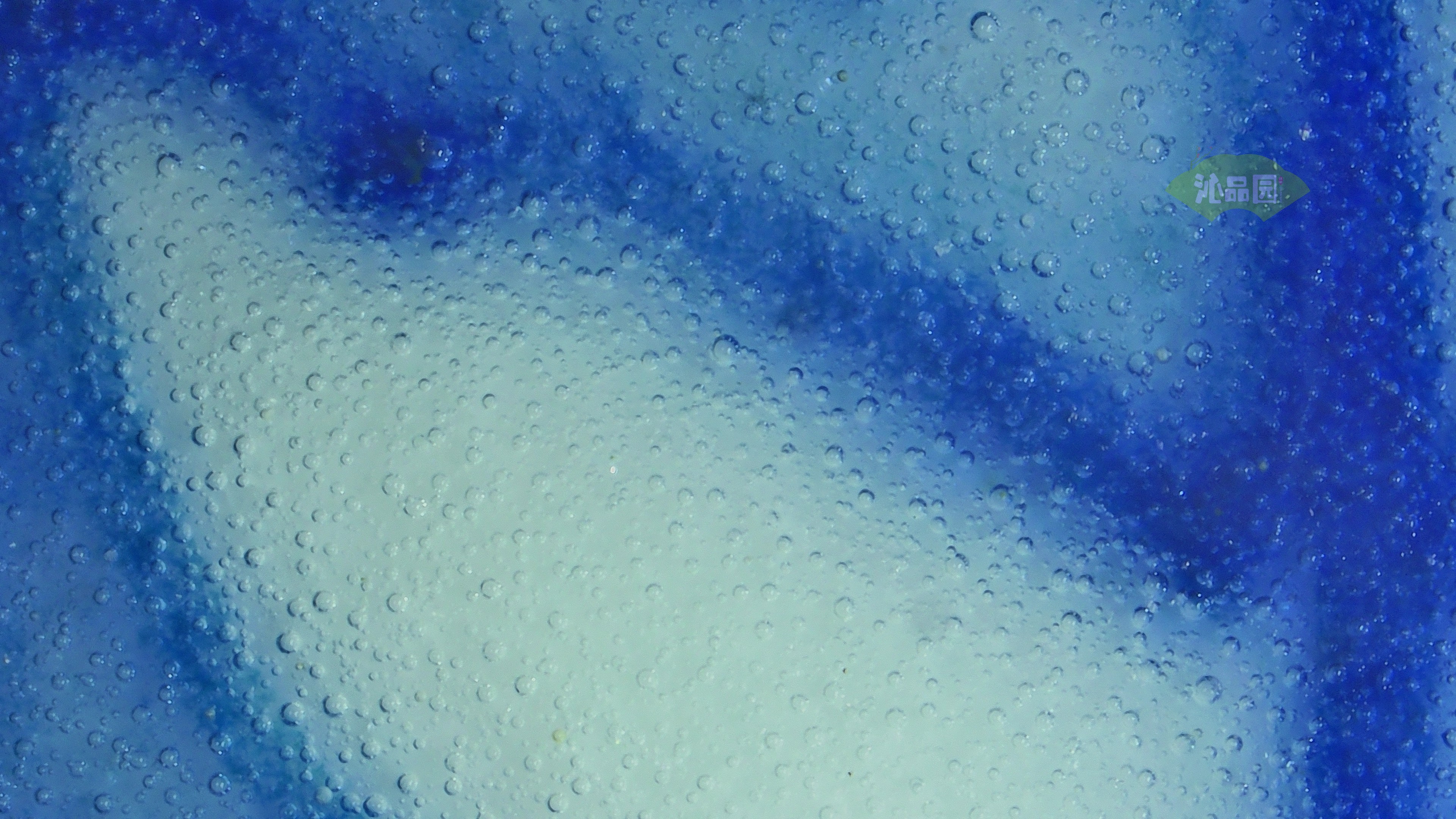 0005.jpg