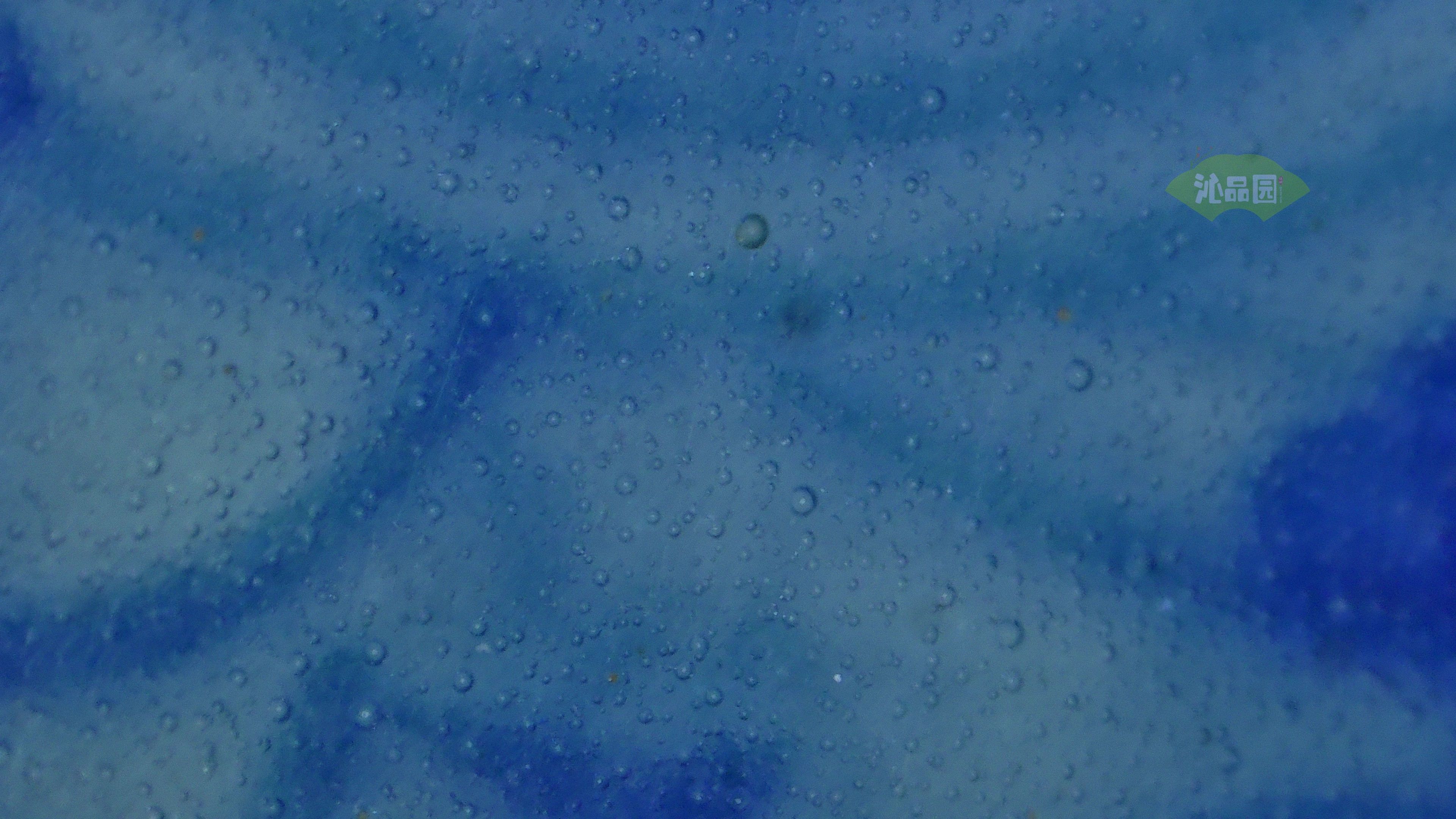 0268.jpg