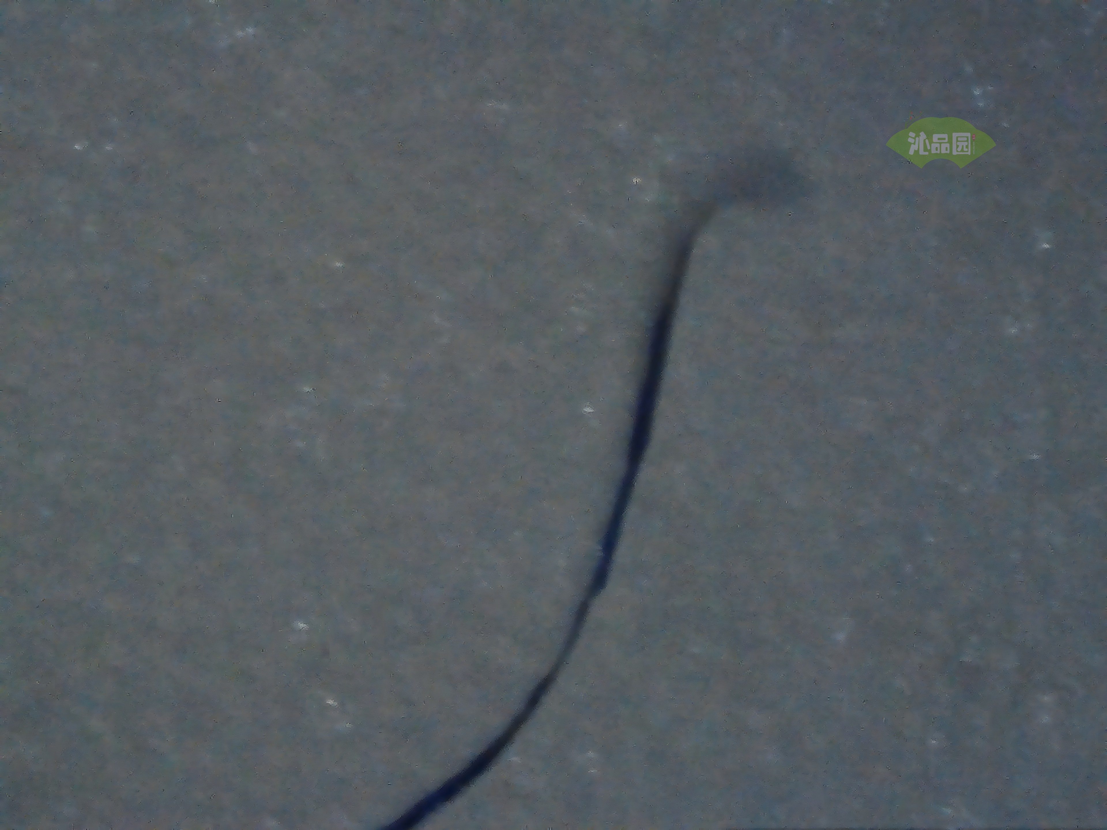 CHD00351.JPG