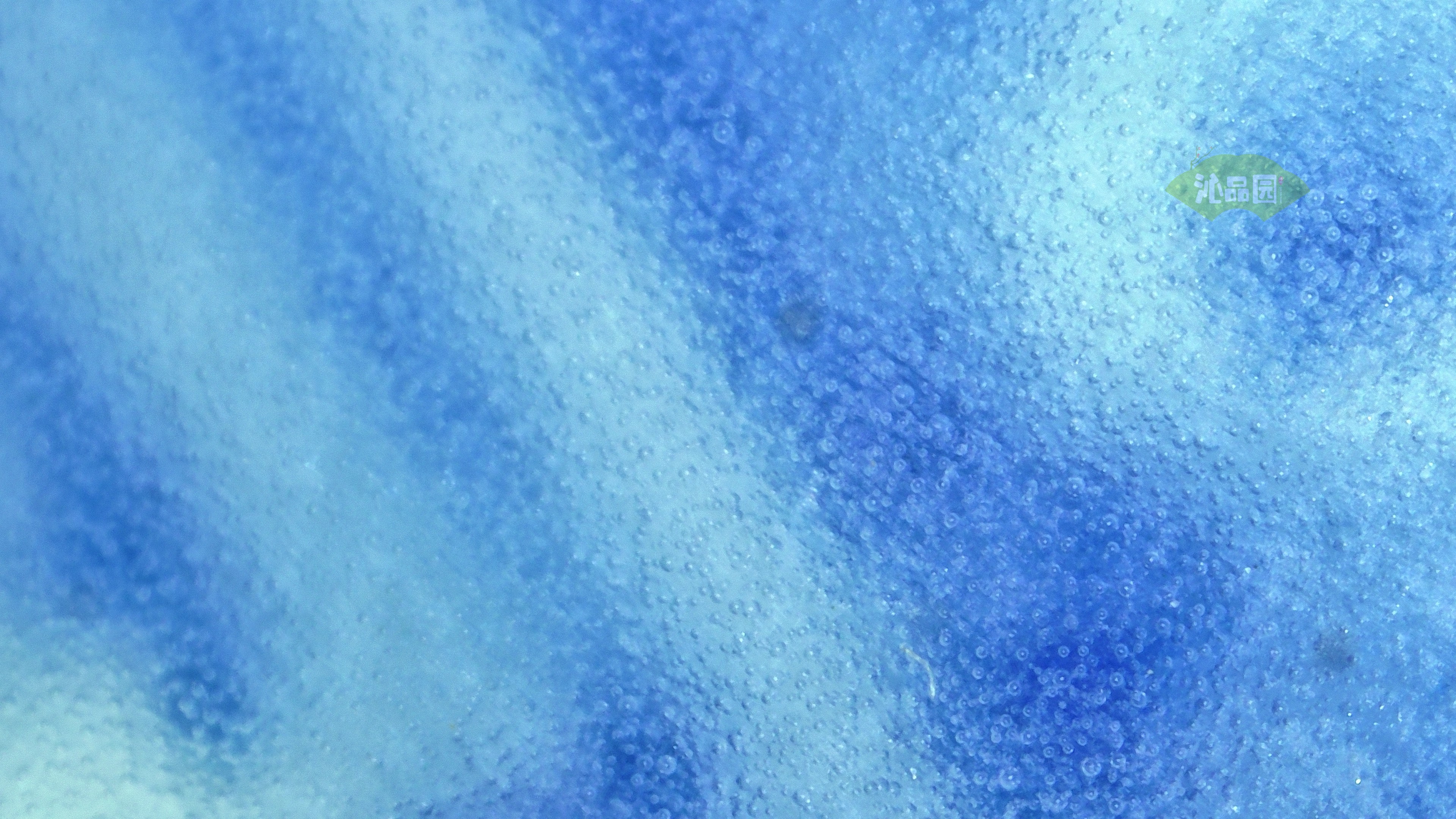 0679.jpg