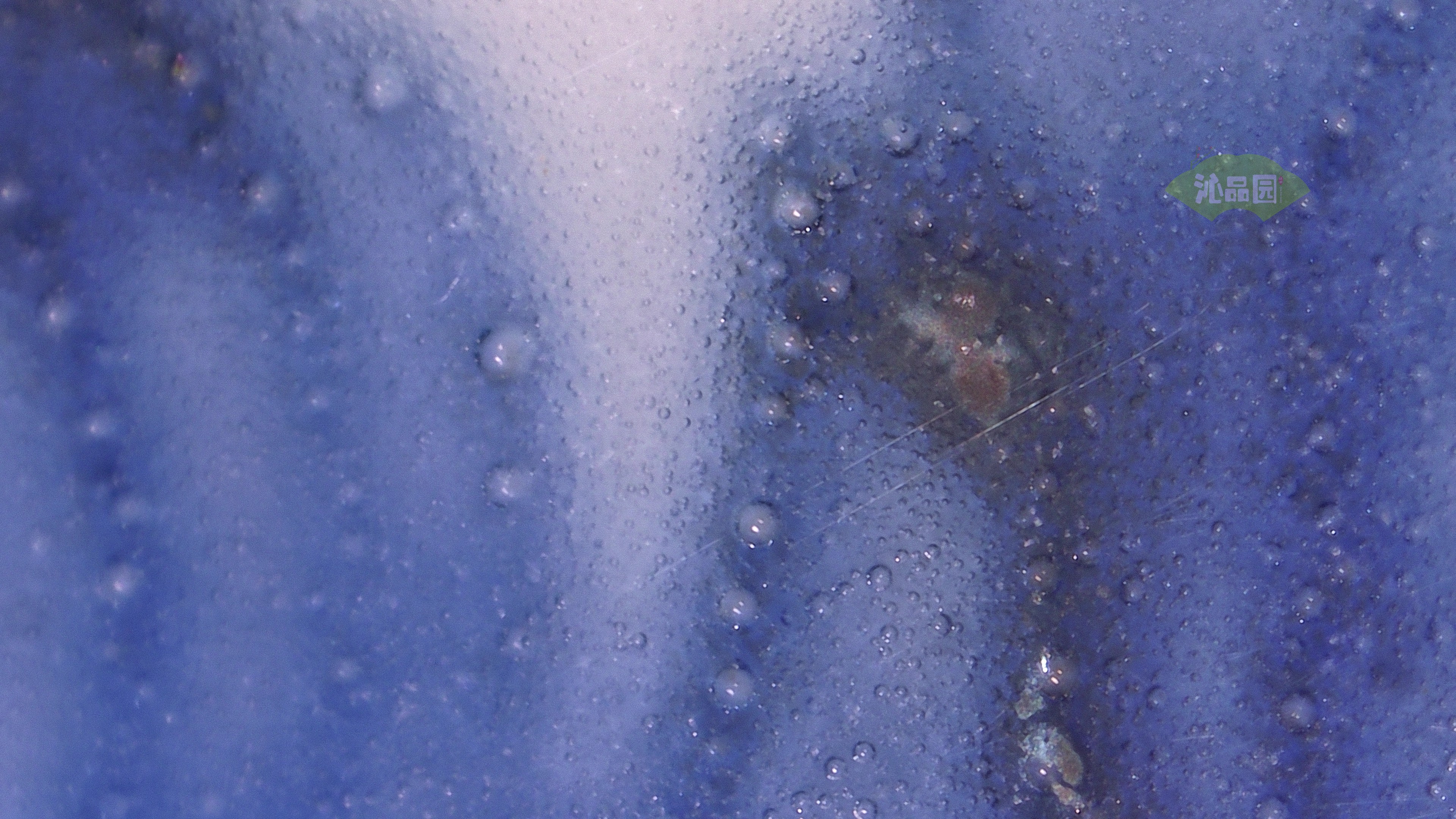 0037.jpg