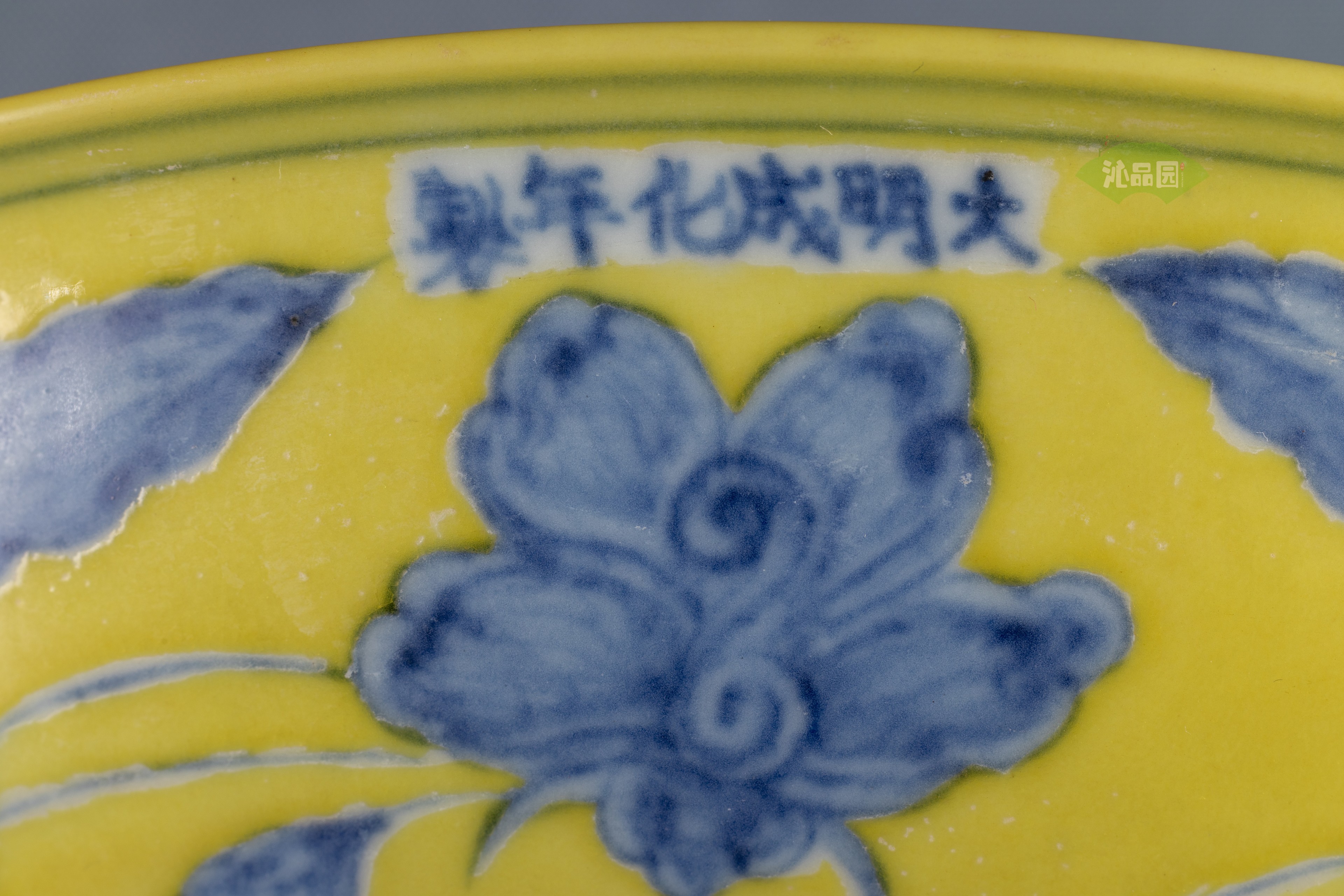 05.jpg