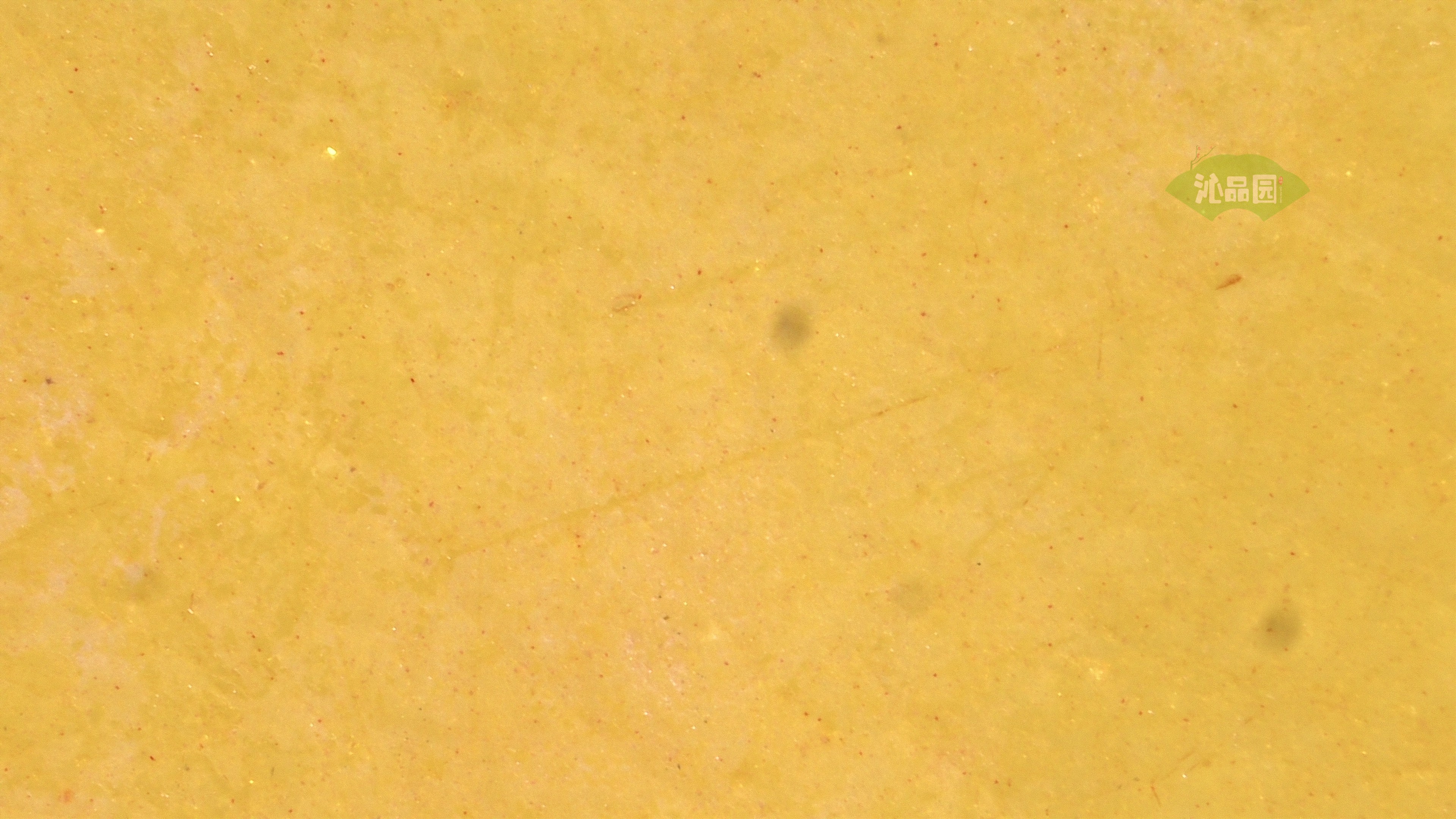 0062.jpg