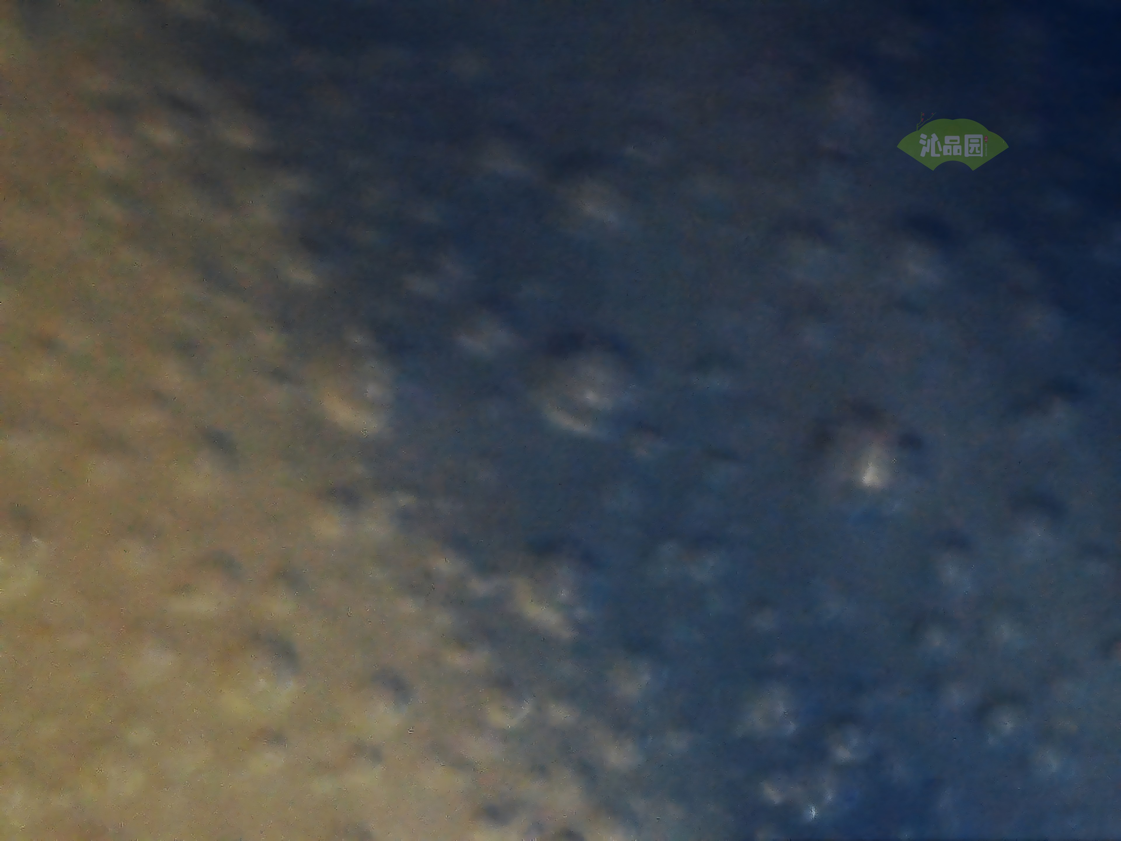 CHD00973.JPG