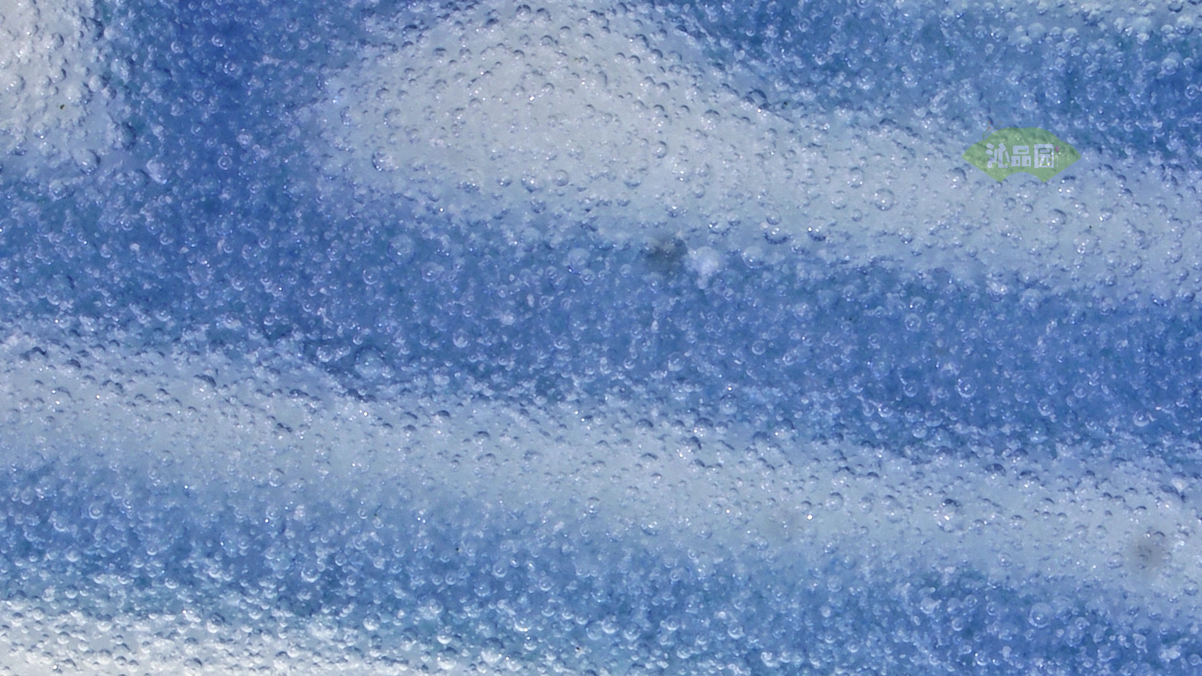 0647.jpg