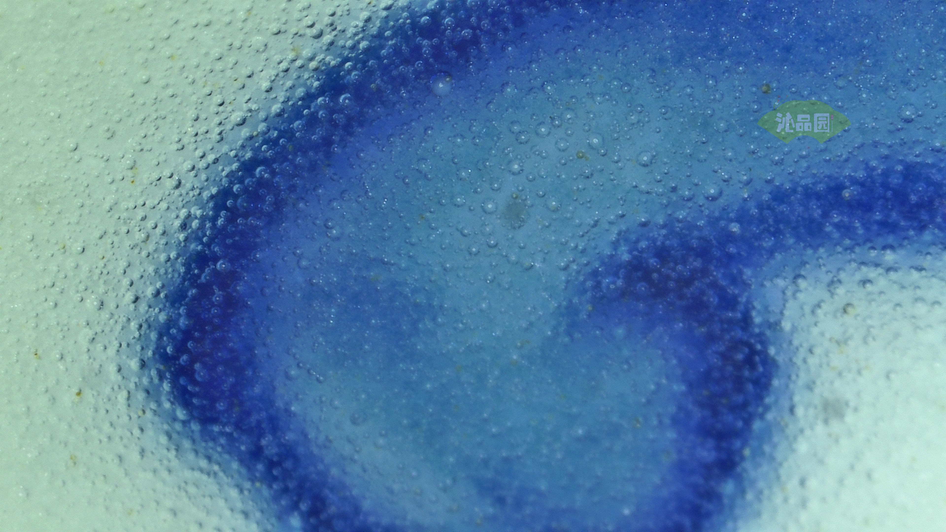 0181.jpg