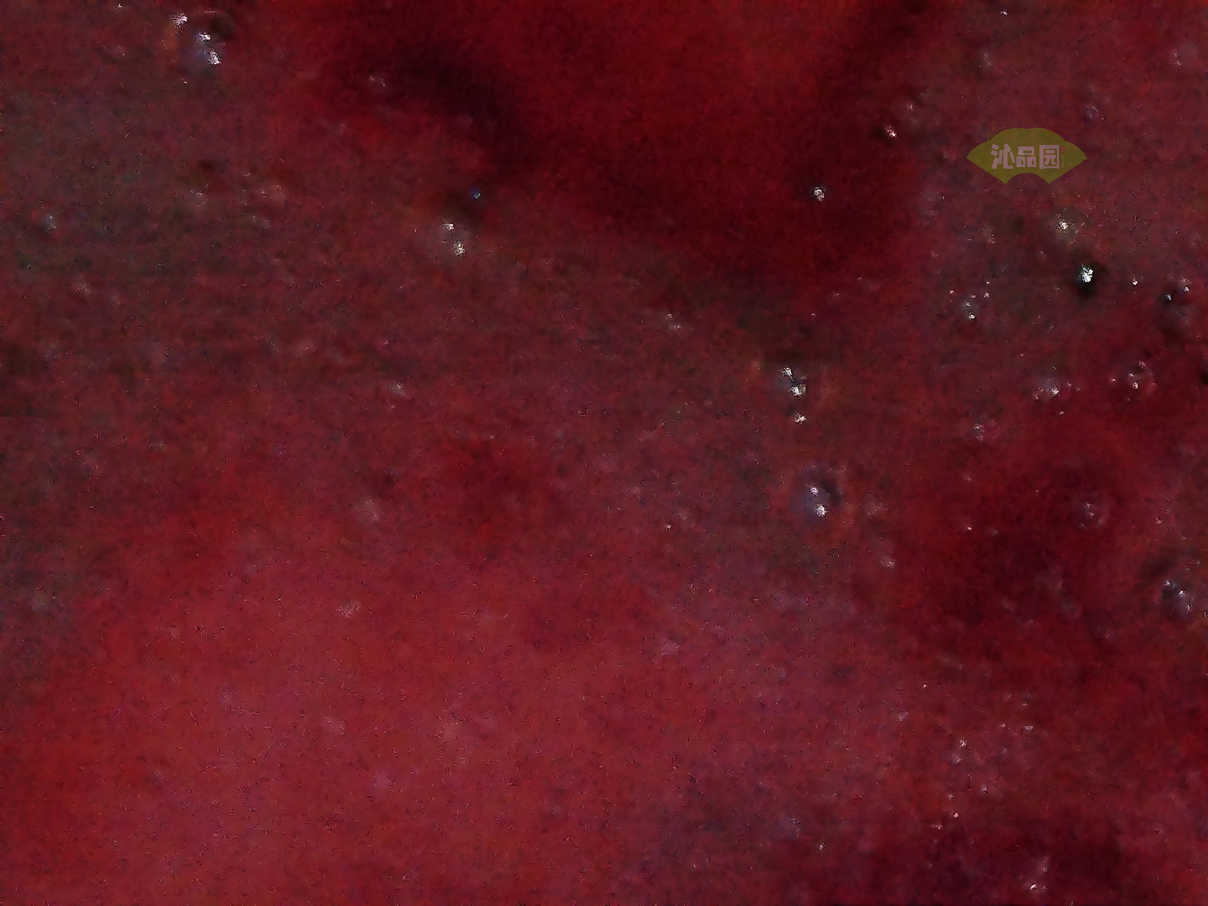 CHD00254.JPG