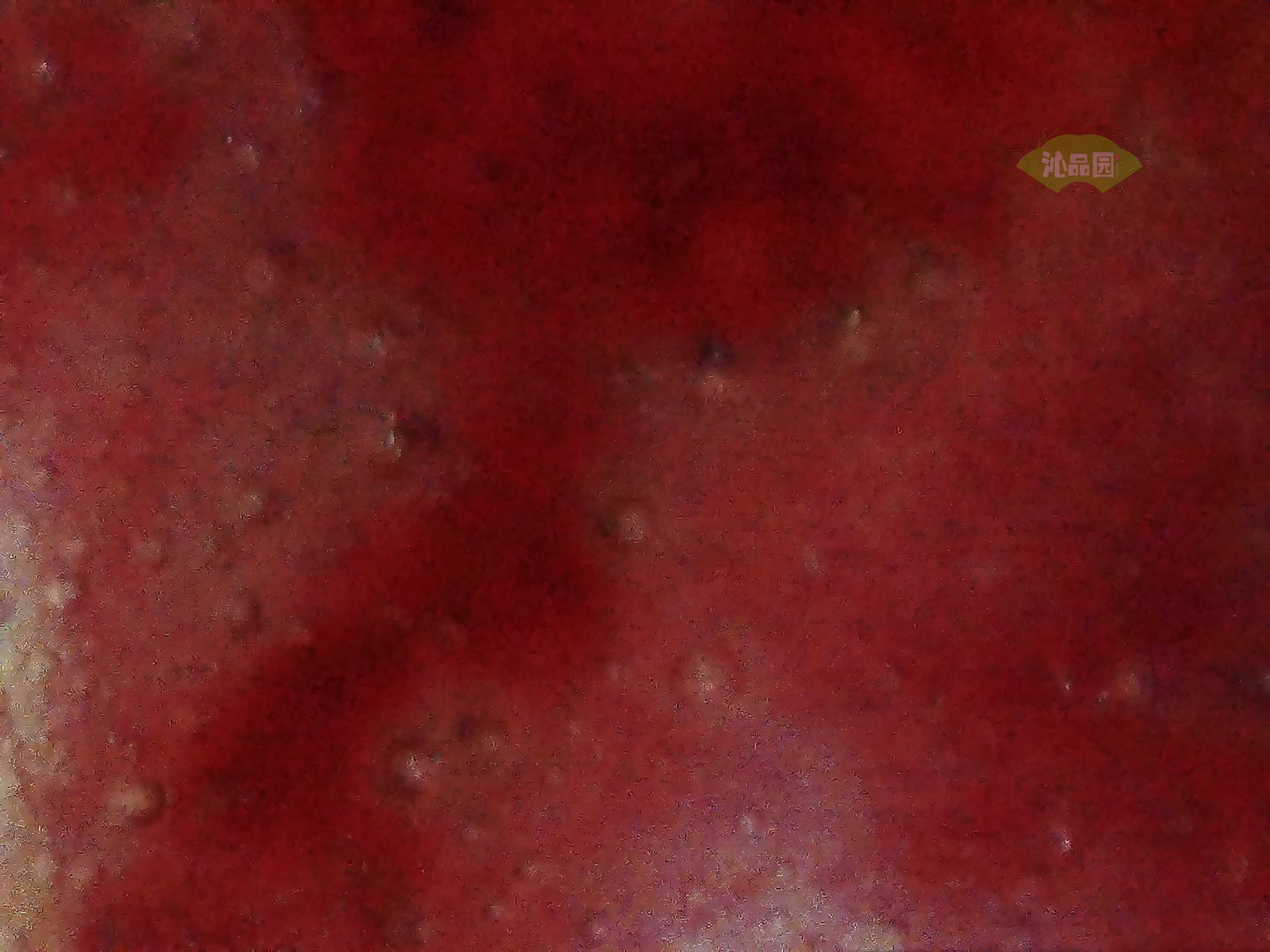 CHD00255.JPG