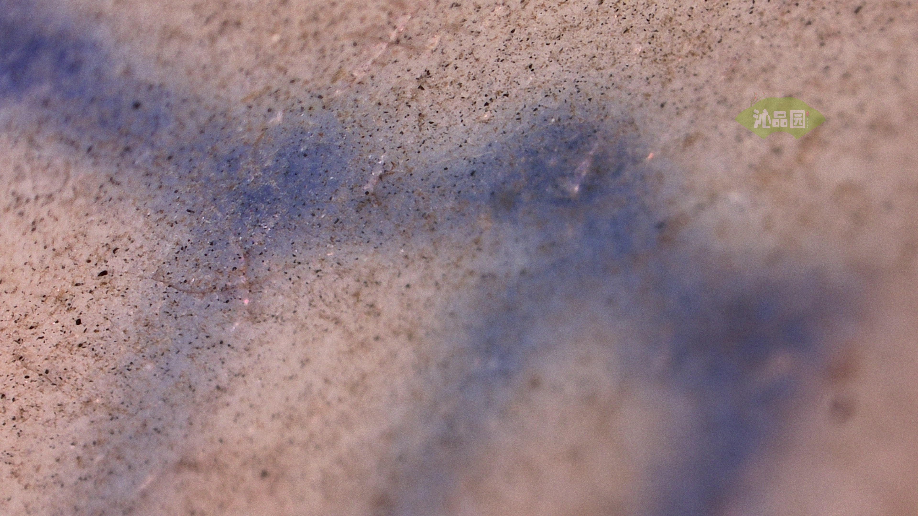 0833.jpg