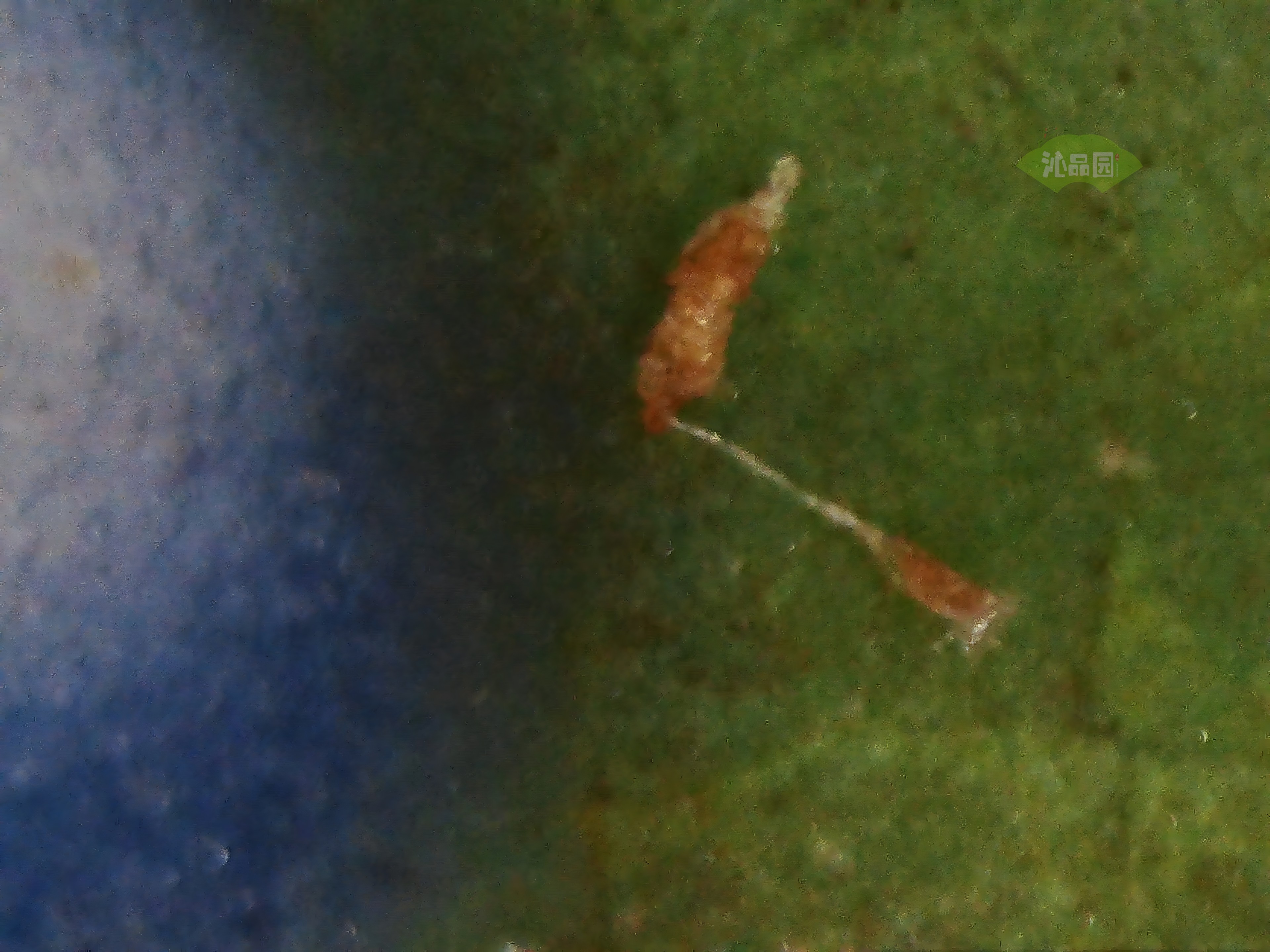 CHD00942.JPG
