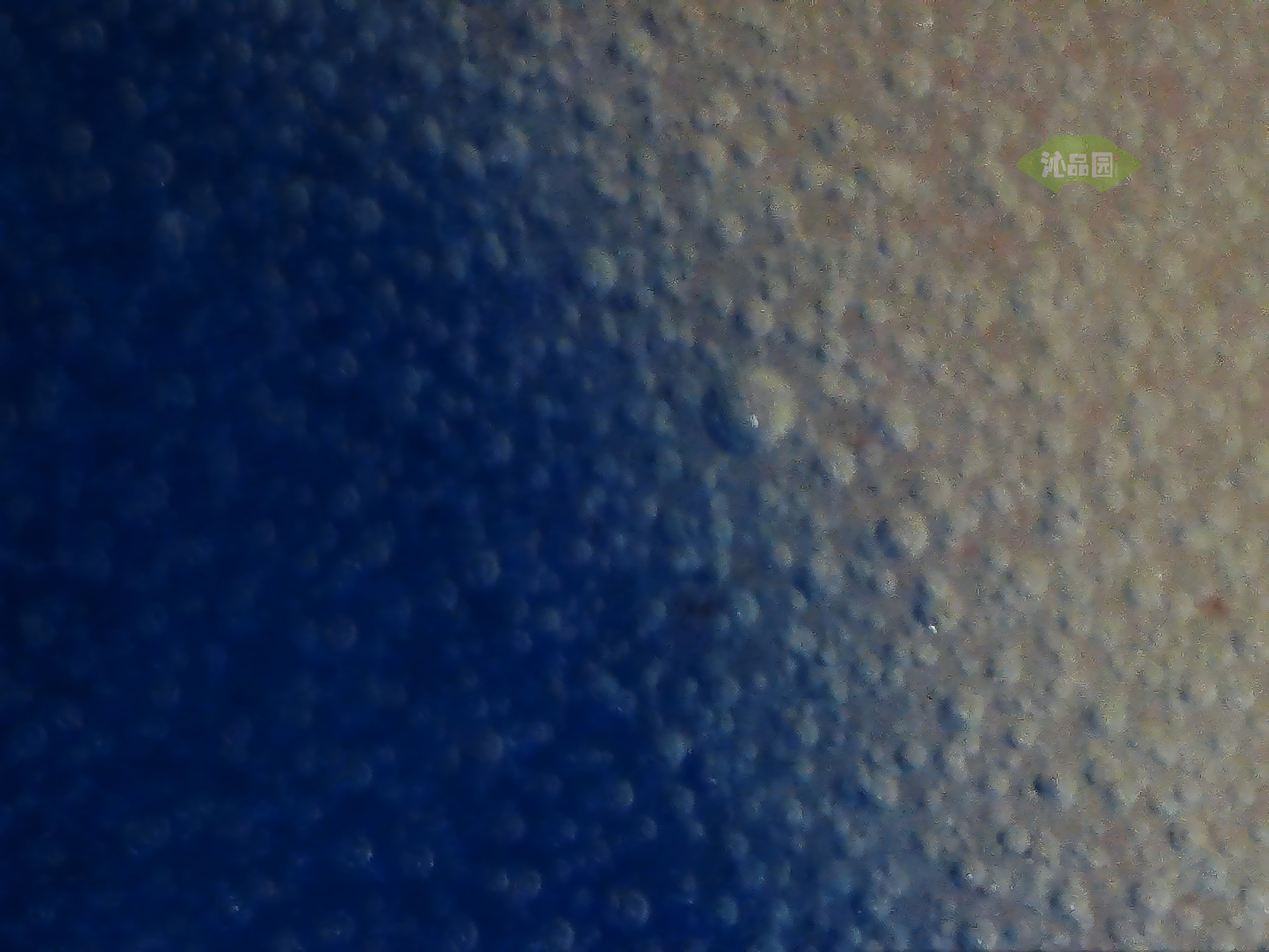 CHD00944.JPG