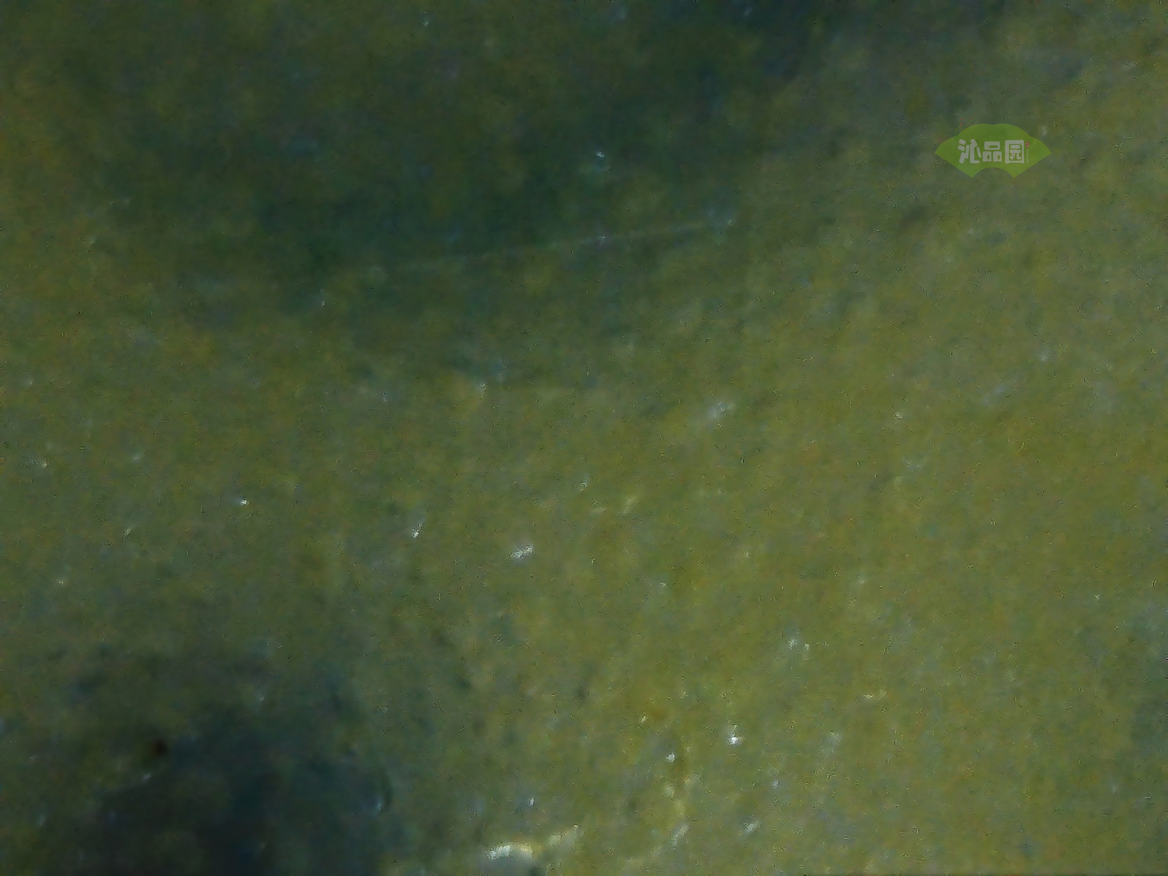 CHD00950.JPG
