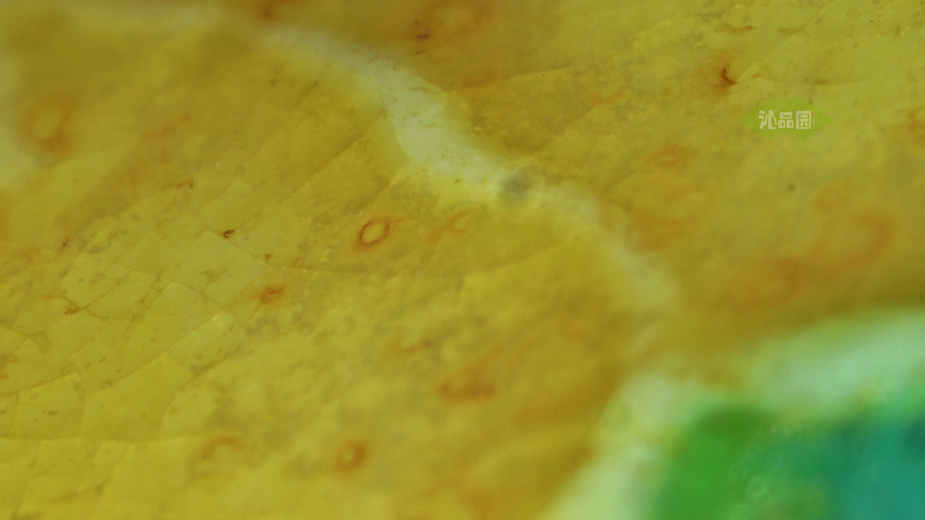 0215.jpg