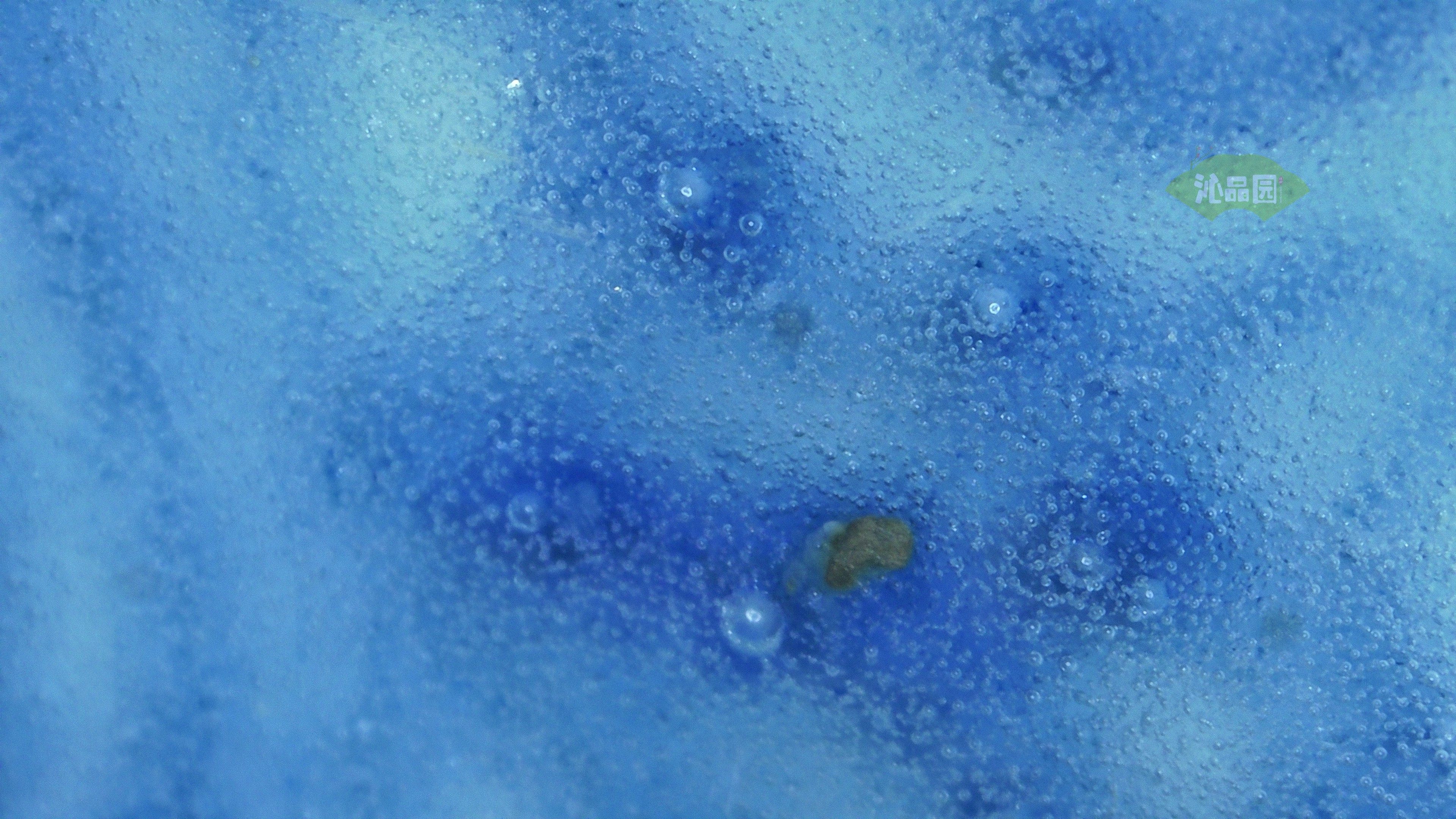1429.jpg