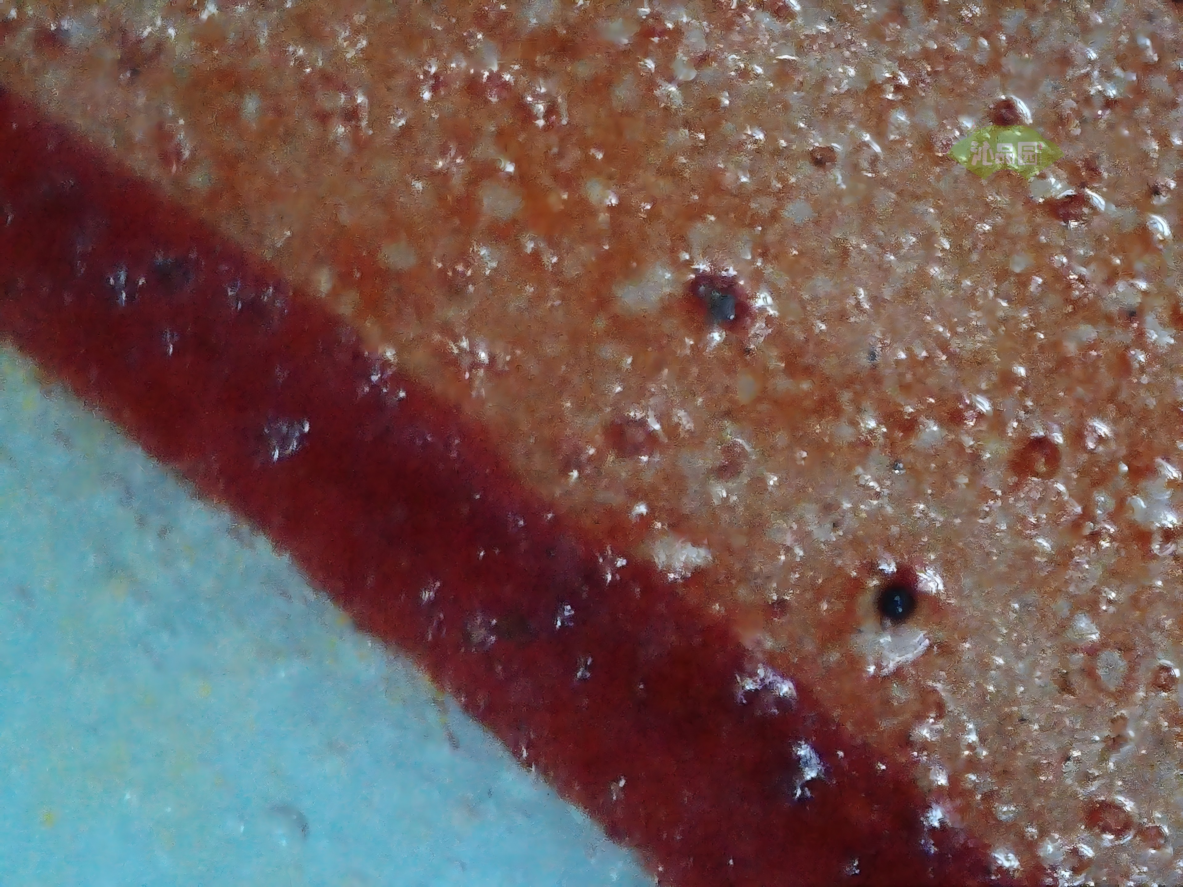 CHD00934.JPG