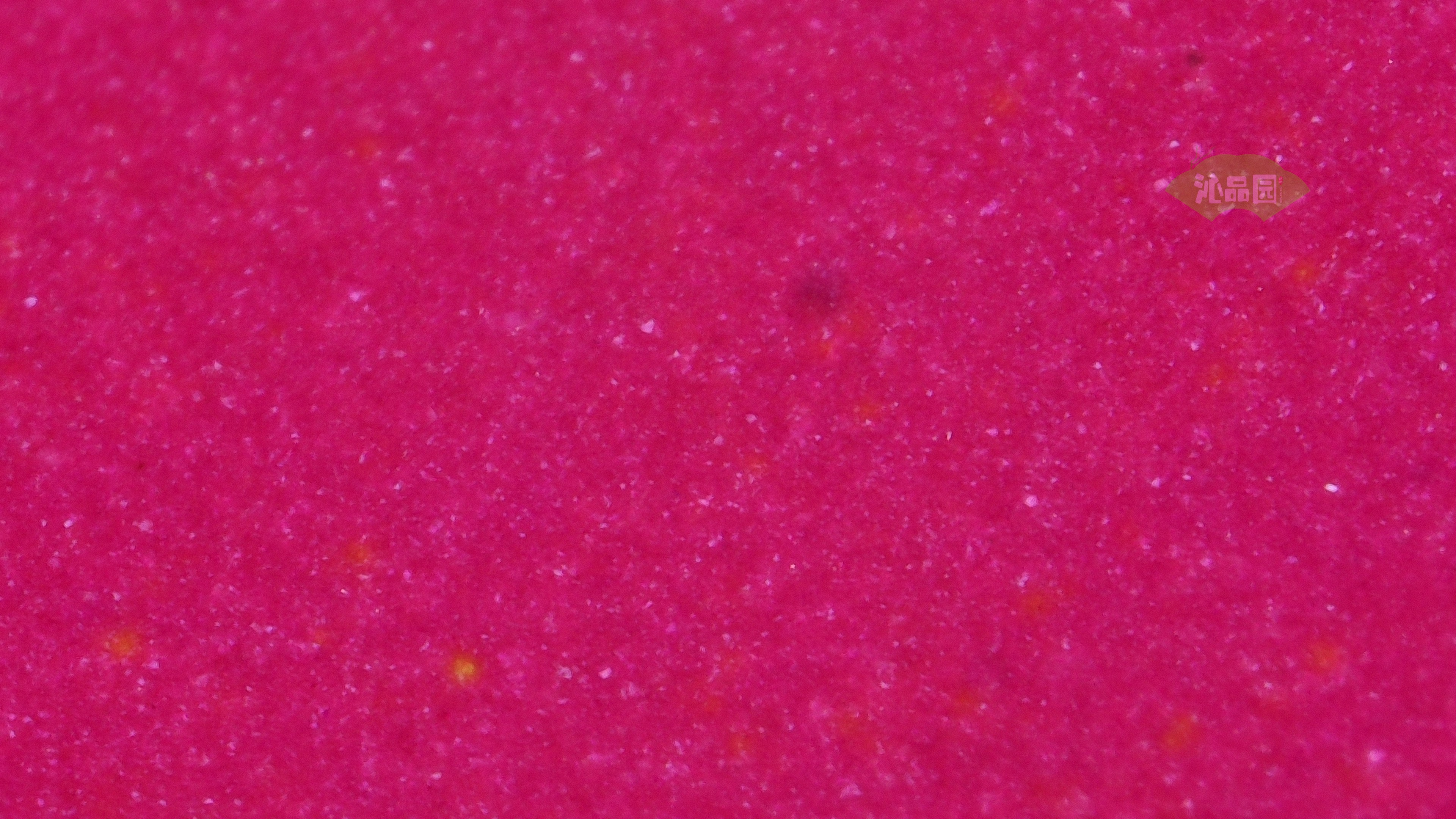 1050.jpg