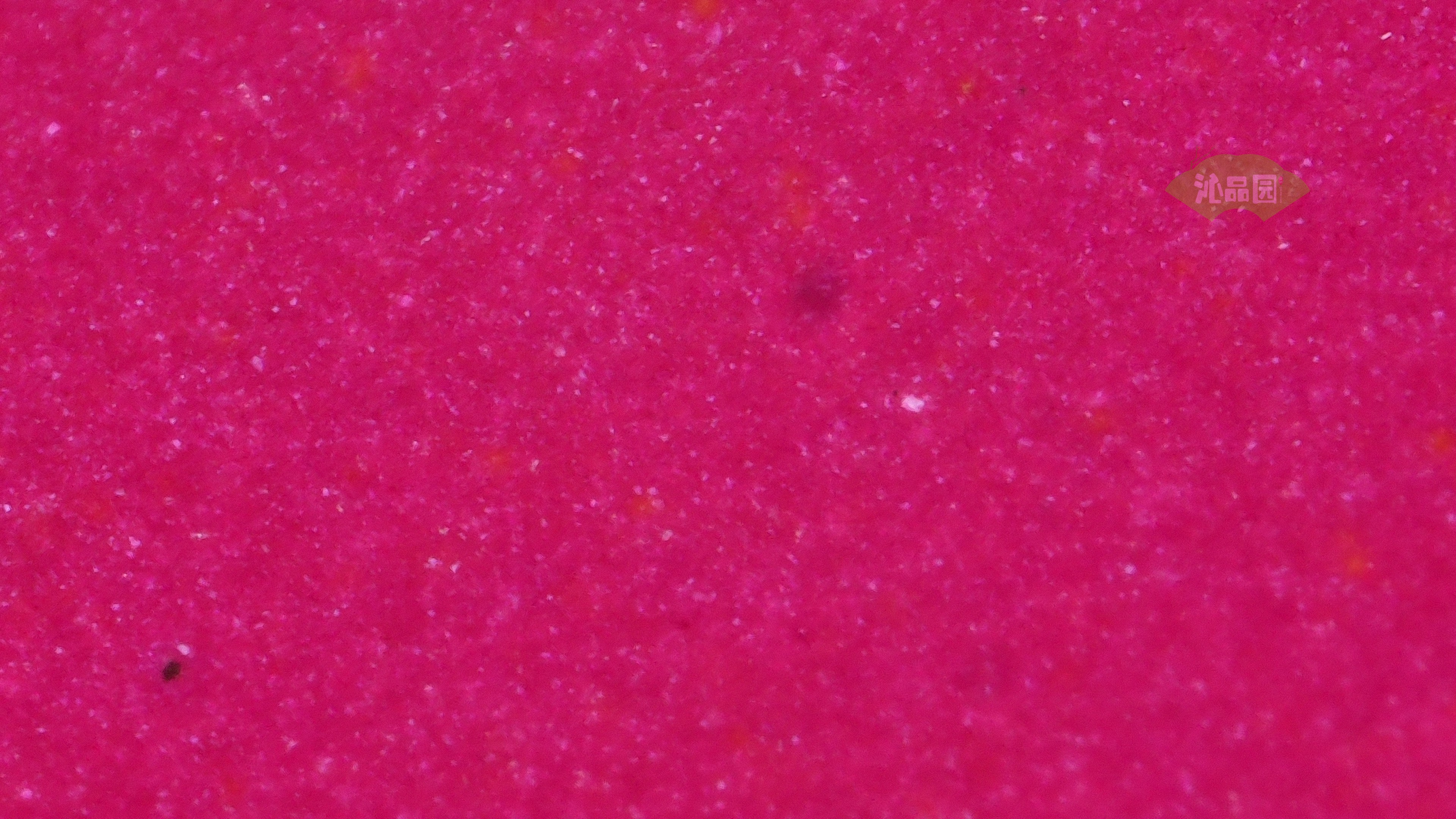 1051.jpg