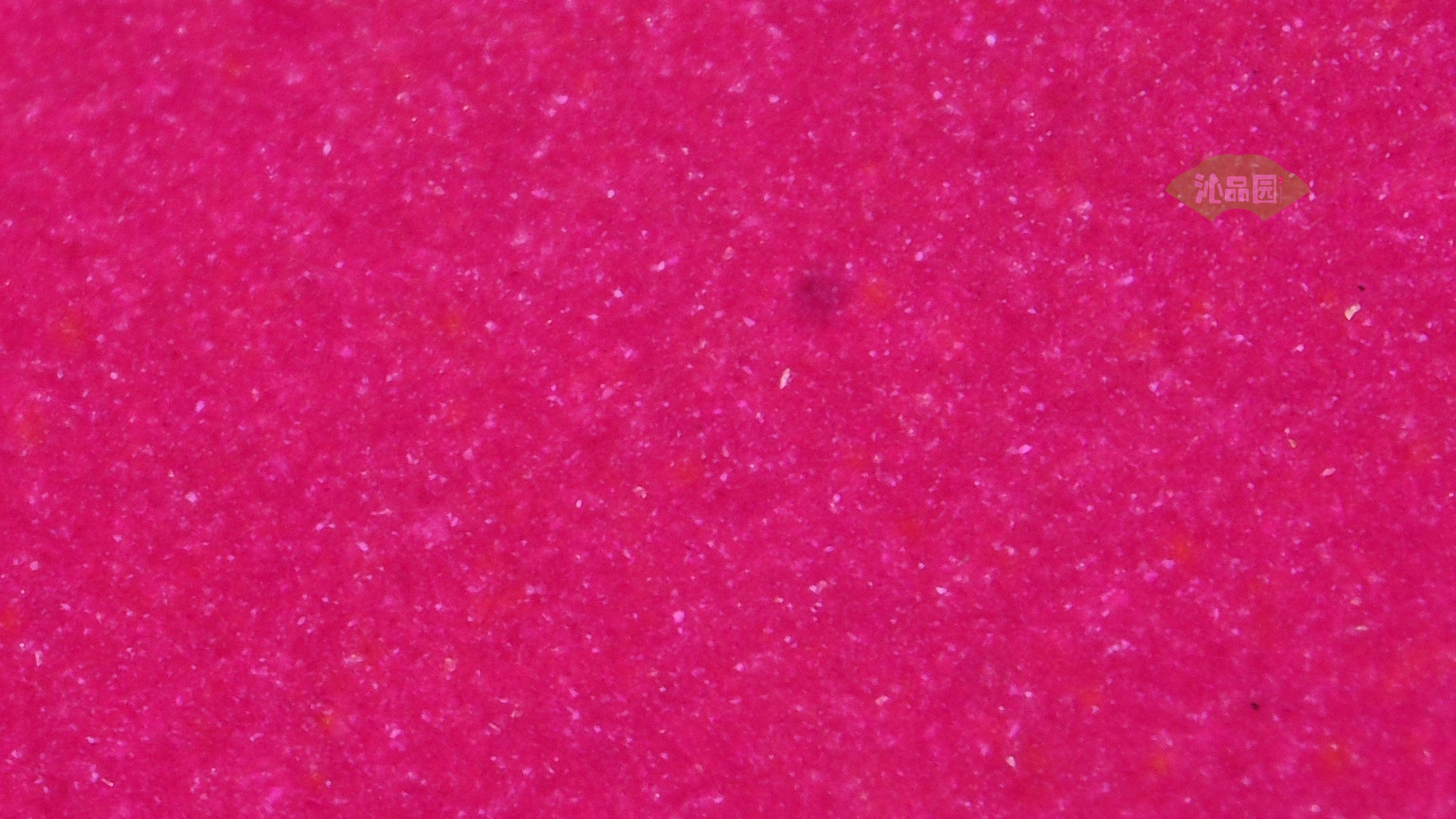 1052.jpg