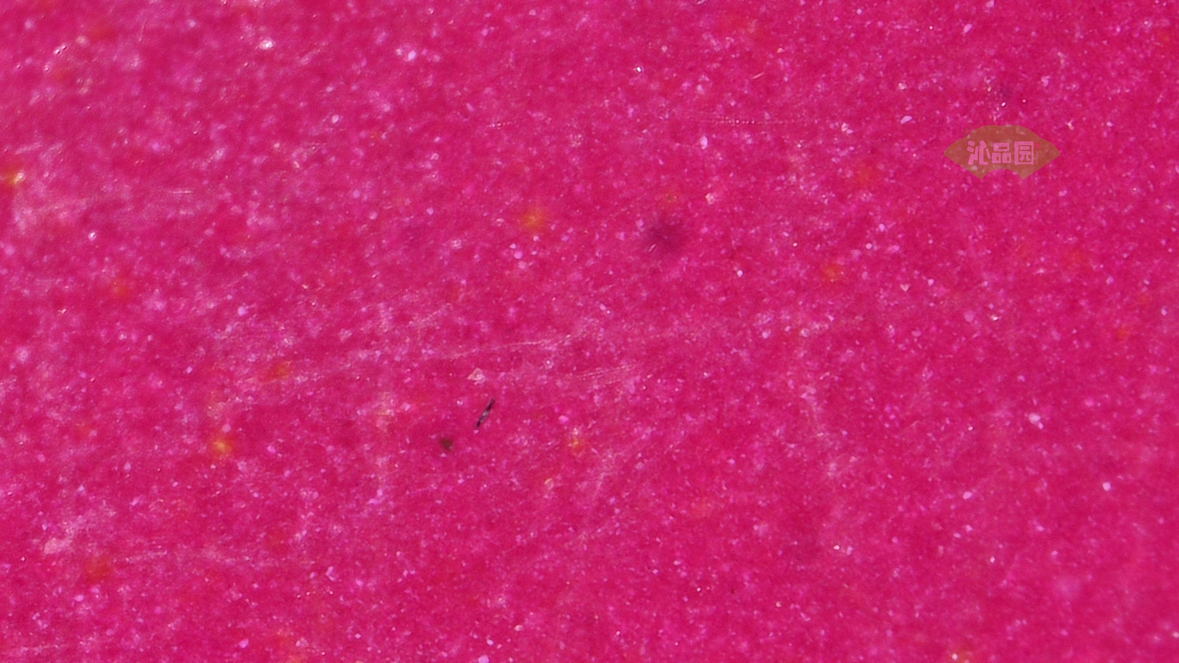 1055.jpg