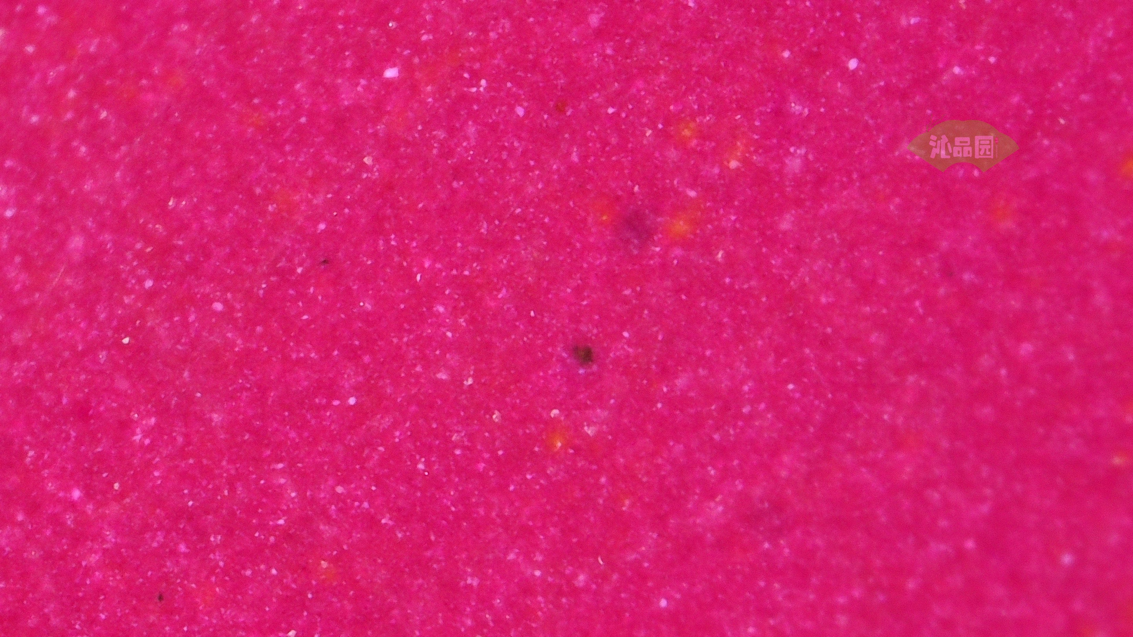 1061.jpg