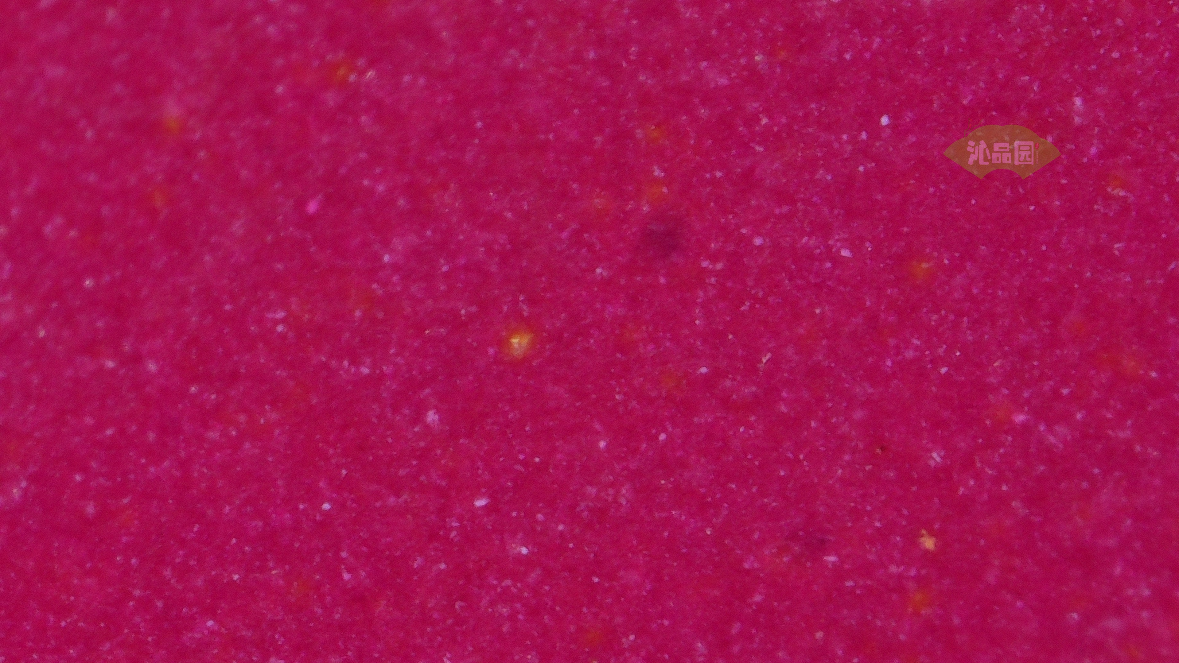 1070.jpg