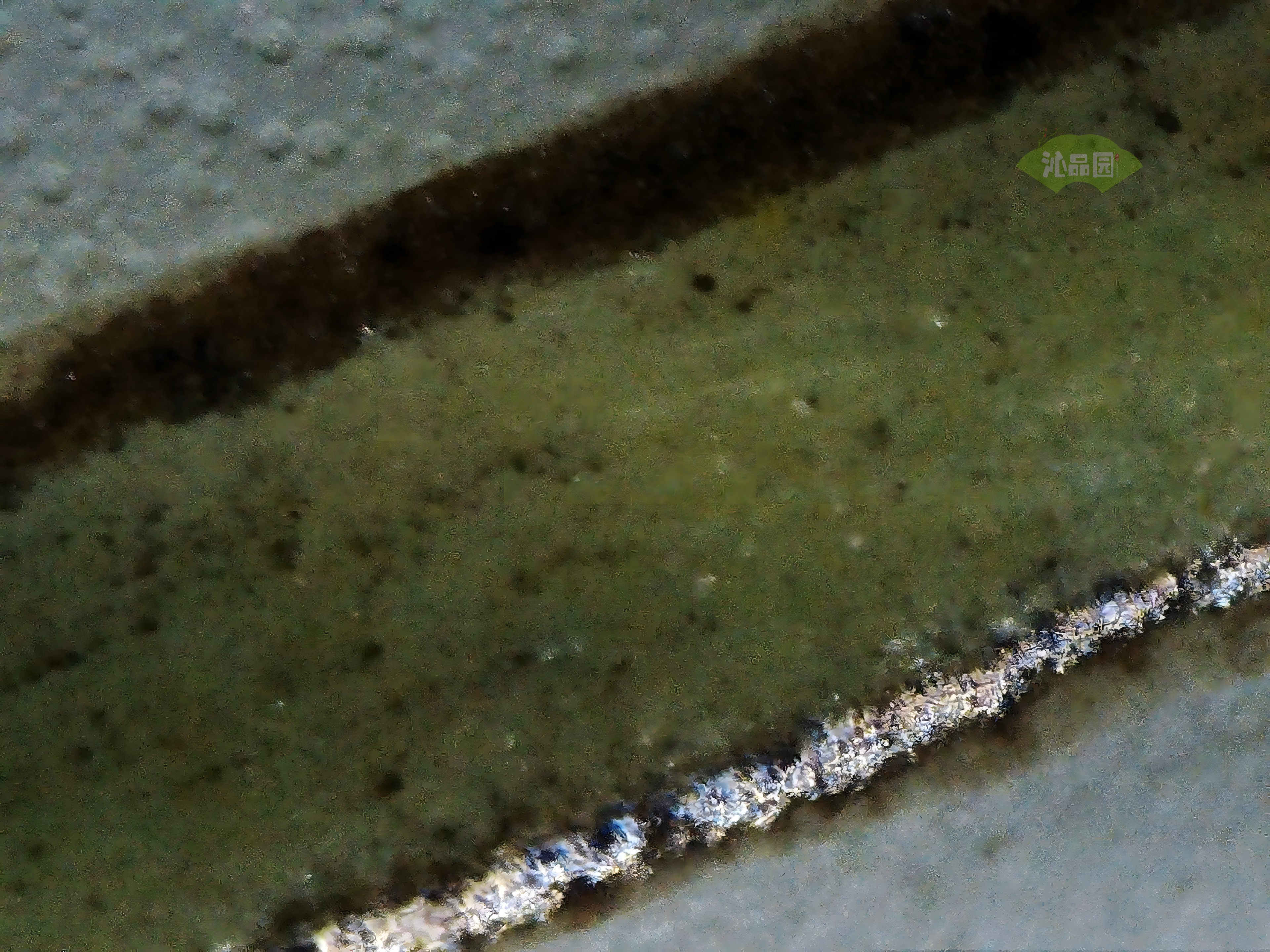 CHD00456.JPG