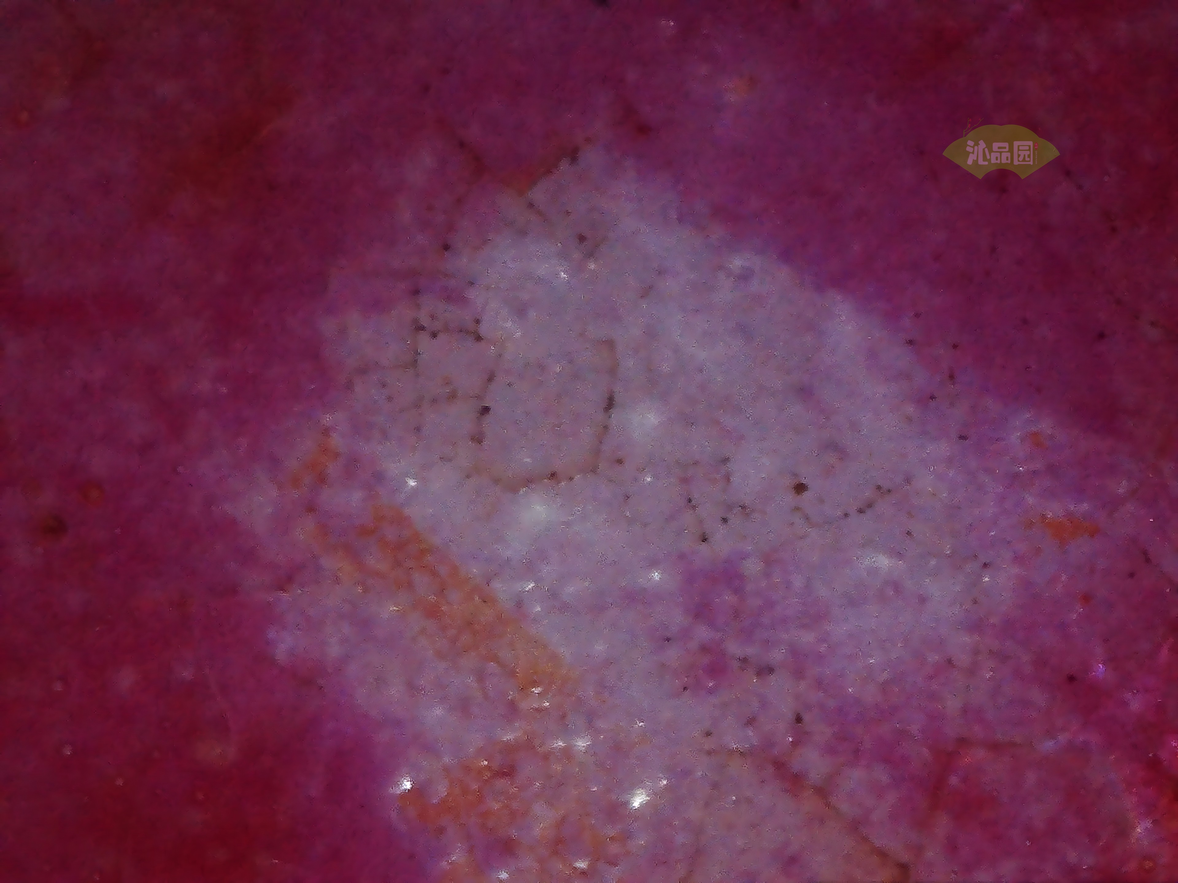 CHD00898.JPG