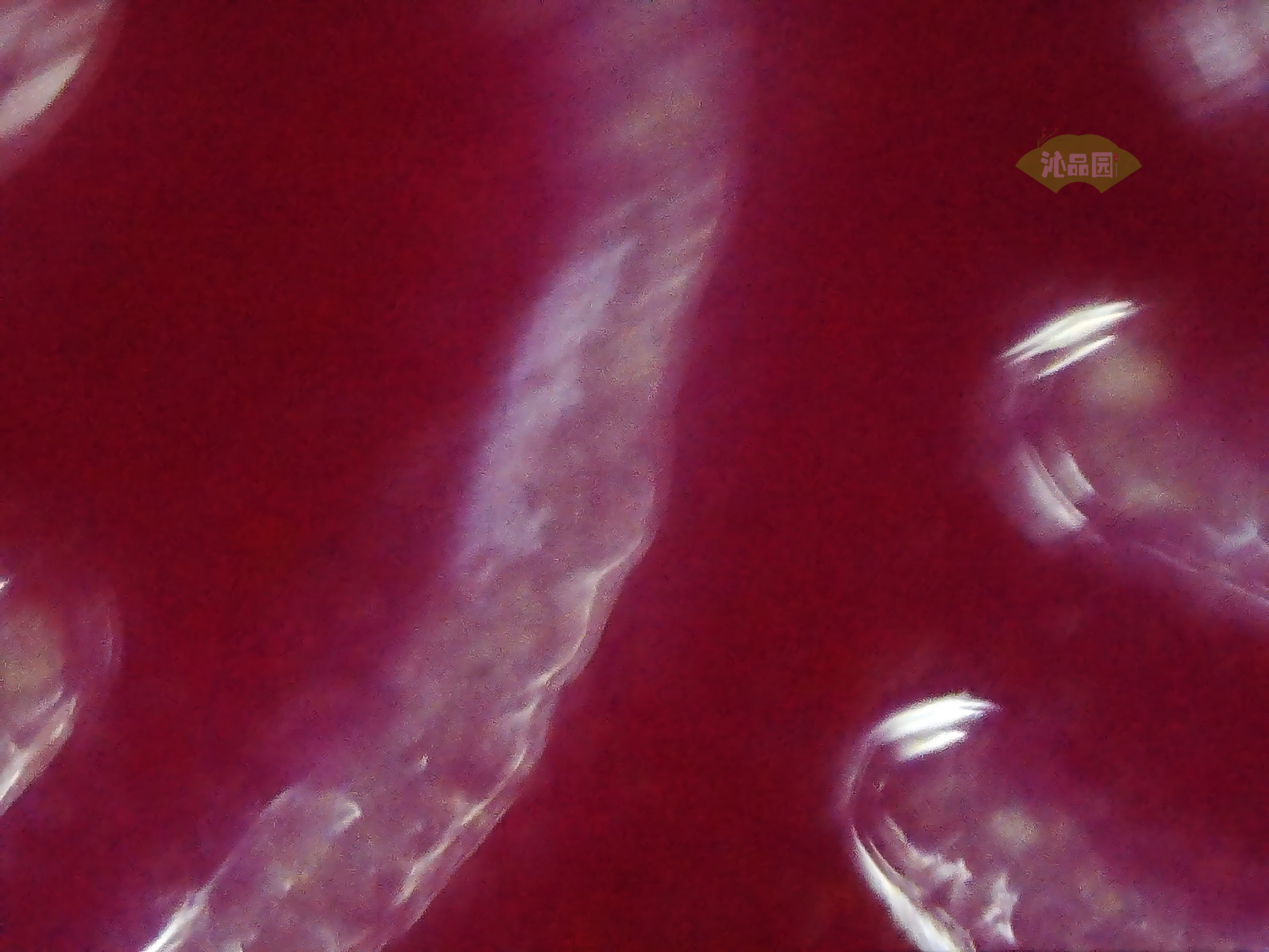 CHD00517.JPG