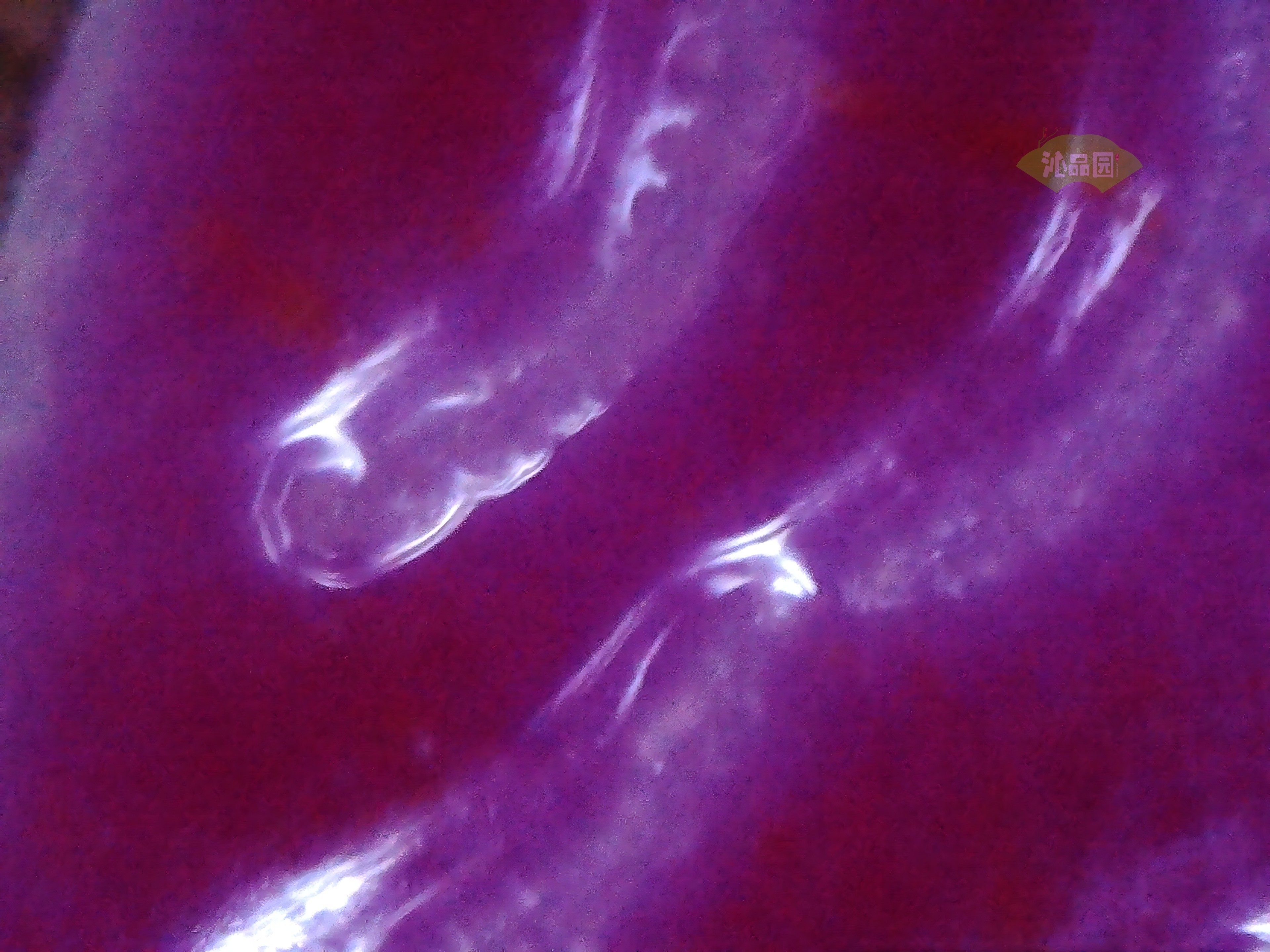 CHD00519.JPG
